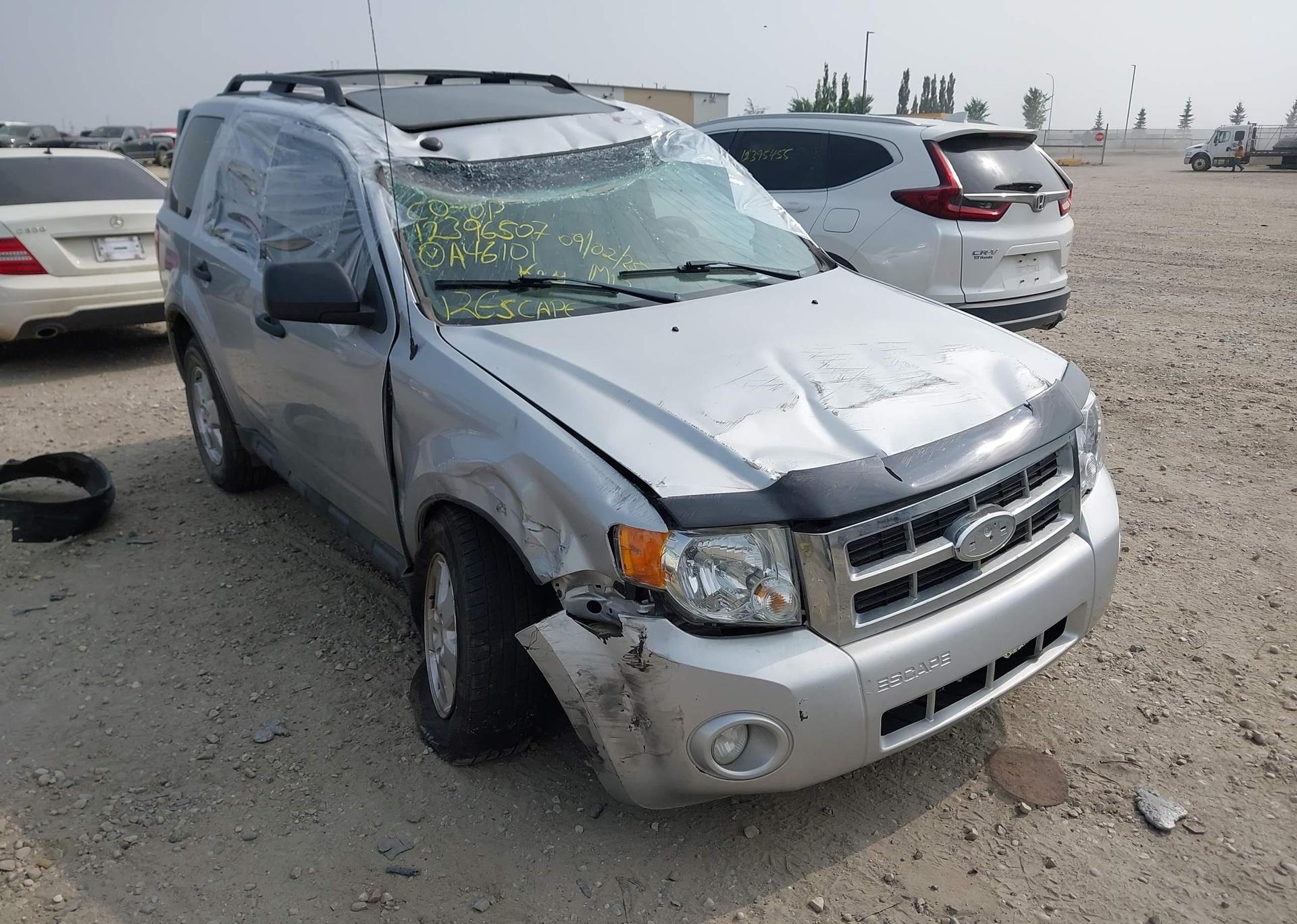 2012 FORD ESCAPE XLT