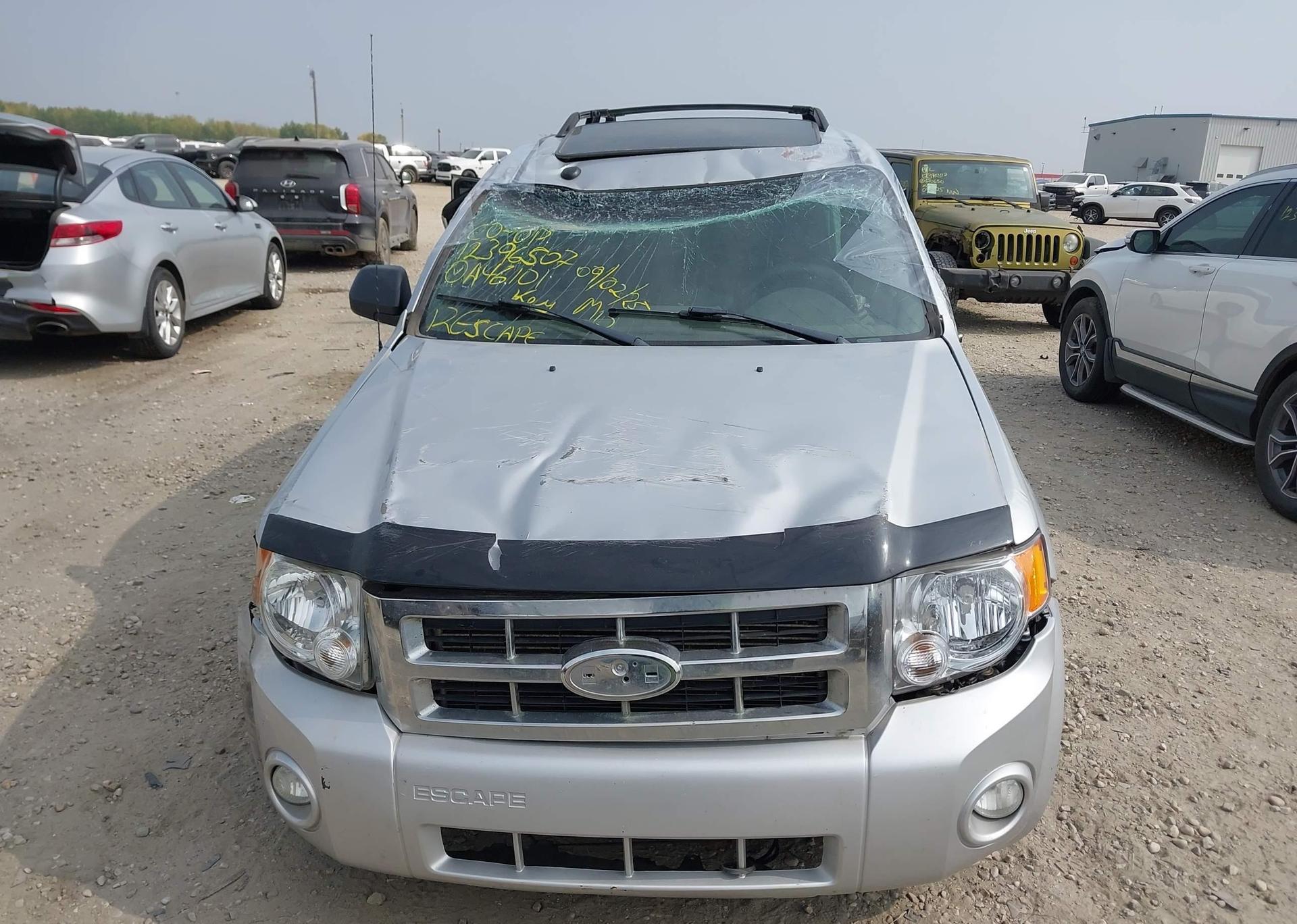 2012 FORD ESCAPE XLT