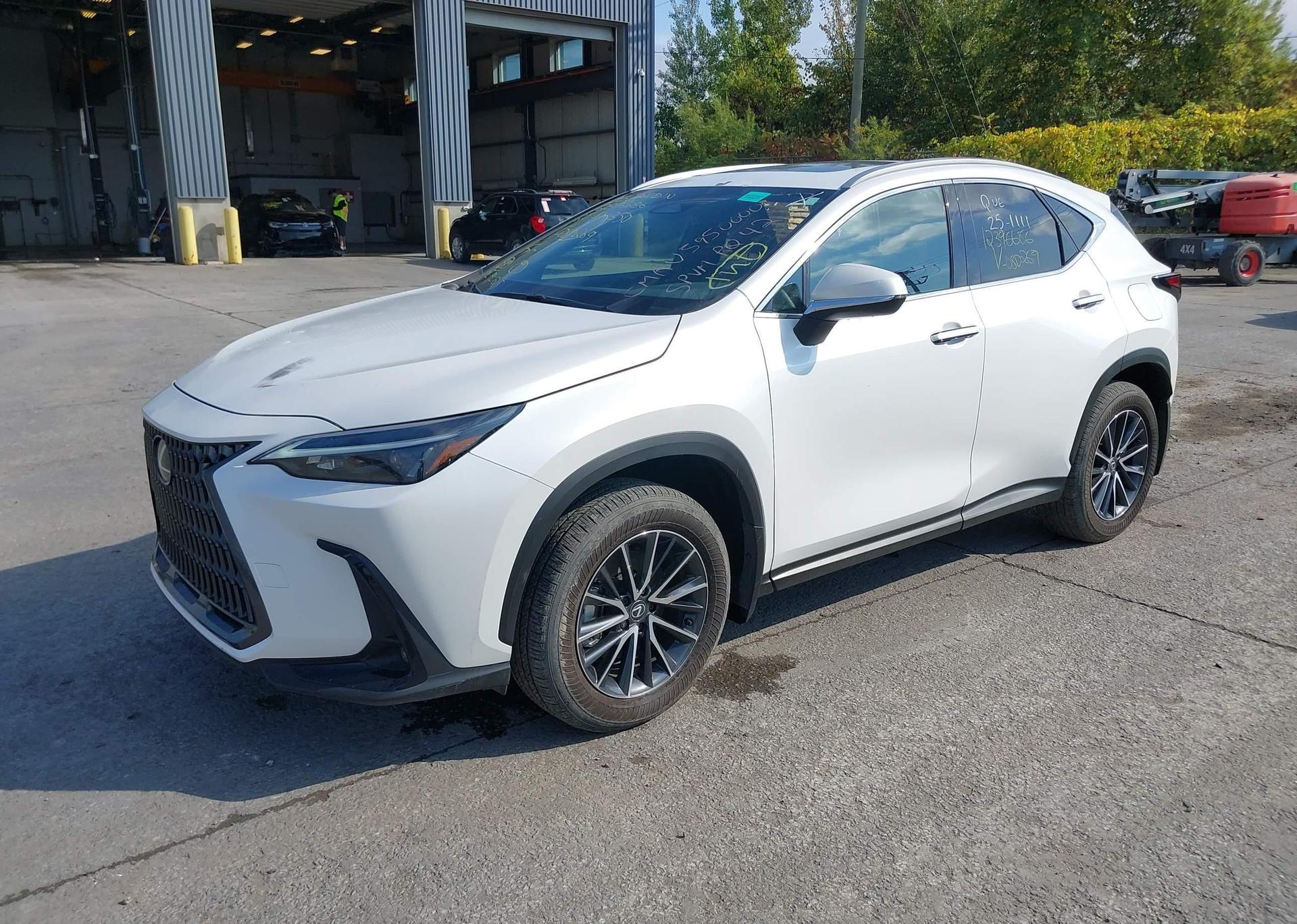 2025 LEXUS NX 350 PREMIUM