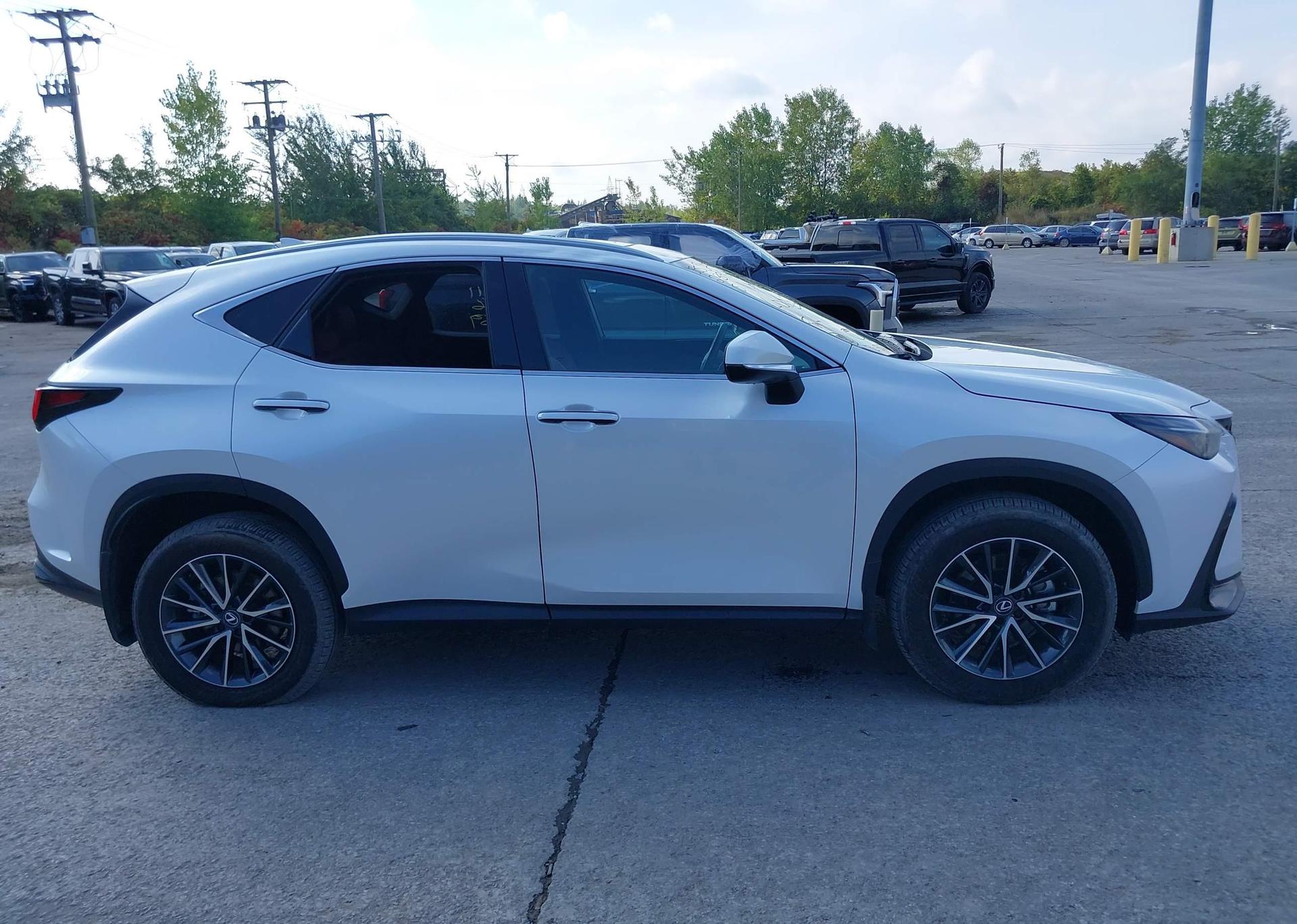 2025 LEXUS NX 350 PREMIUM