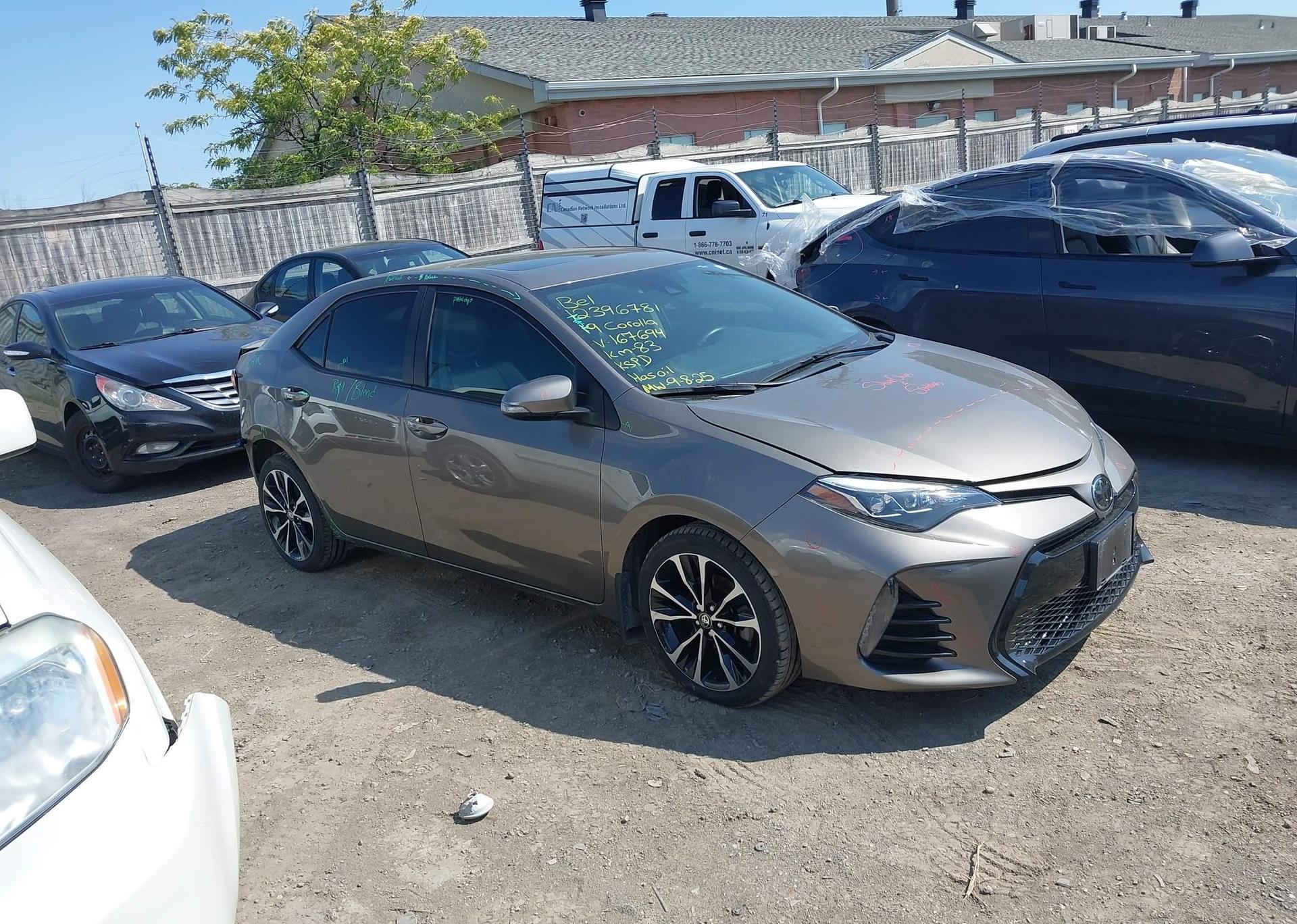 2019 TOYOTA COROLLA