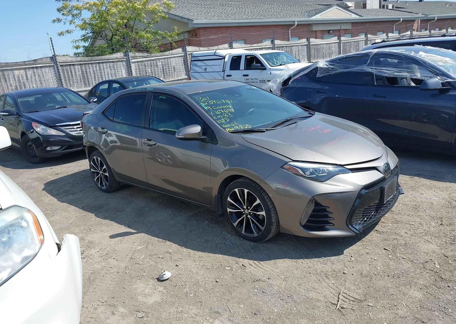 2019 TOYOTA COROLLA