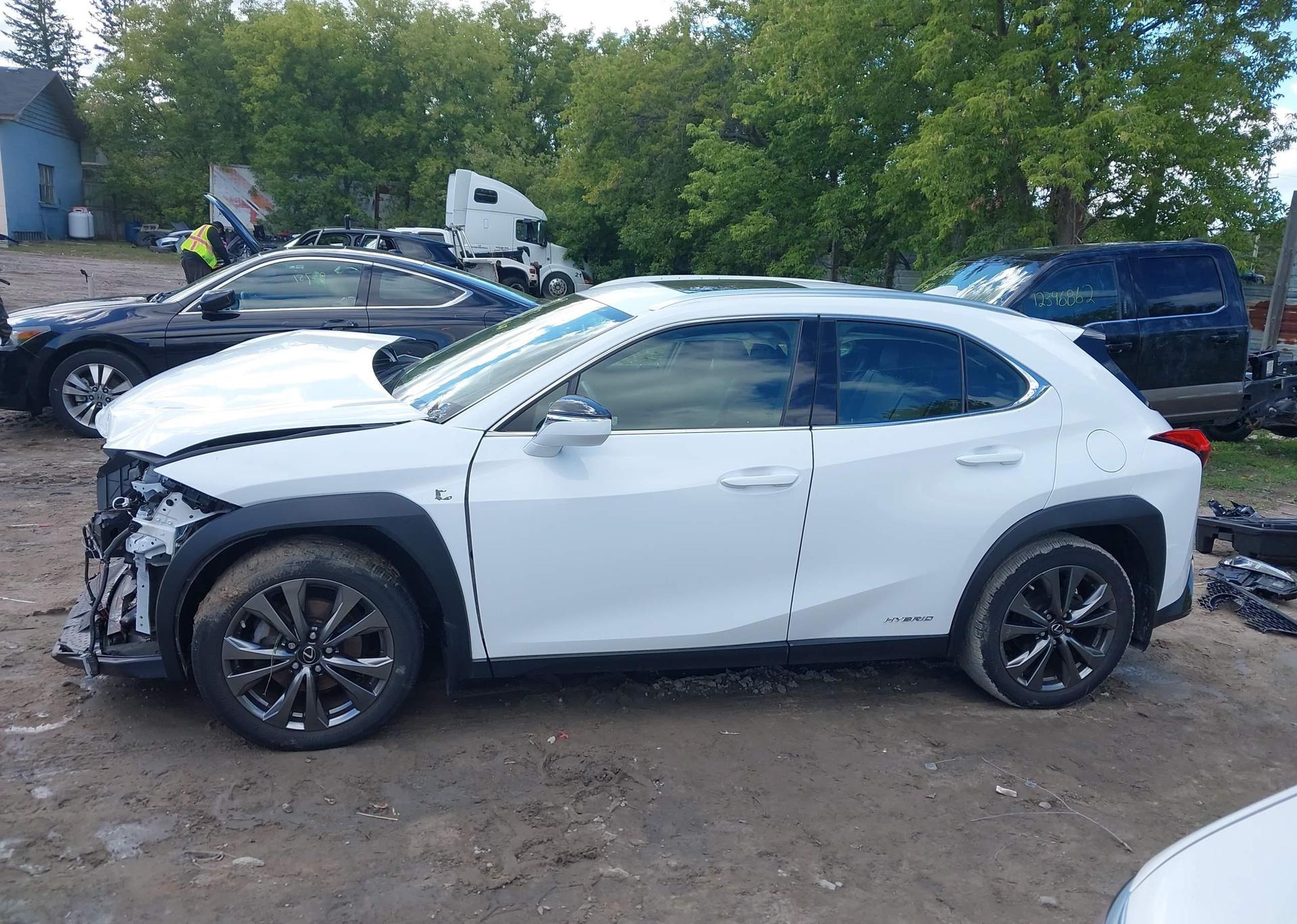 2019 LEXUS UX 250H
