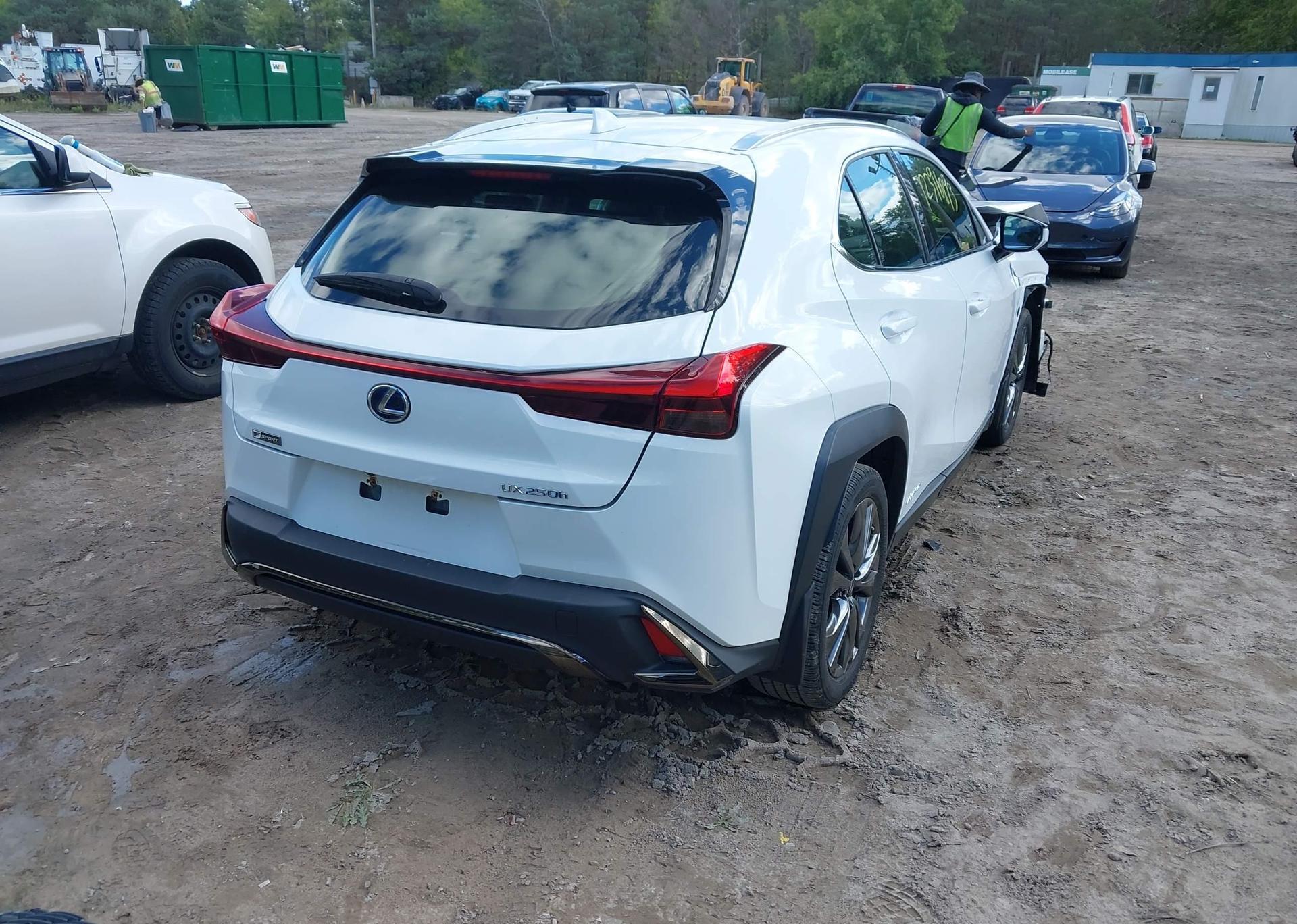 2019 LEXUS UX 250H