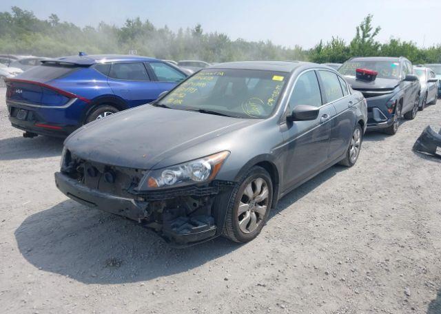 2009 HONDA ACCORD EX-L