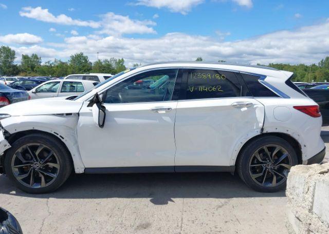 2019 INFINITI QX50 AUTOGRAPH
