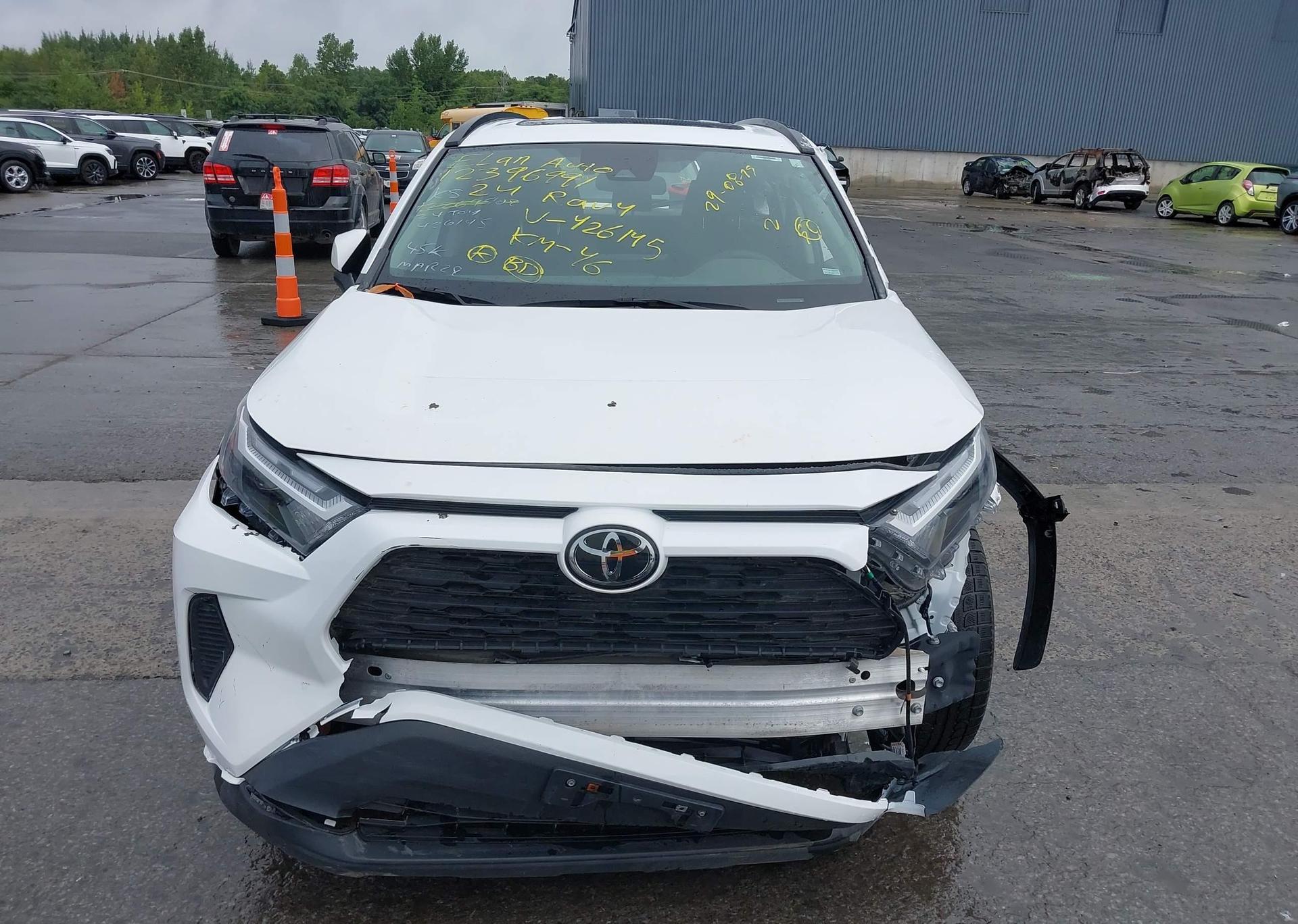 2024 TOYOTA RAV4 XLE