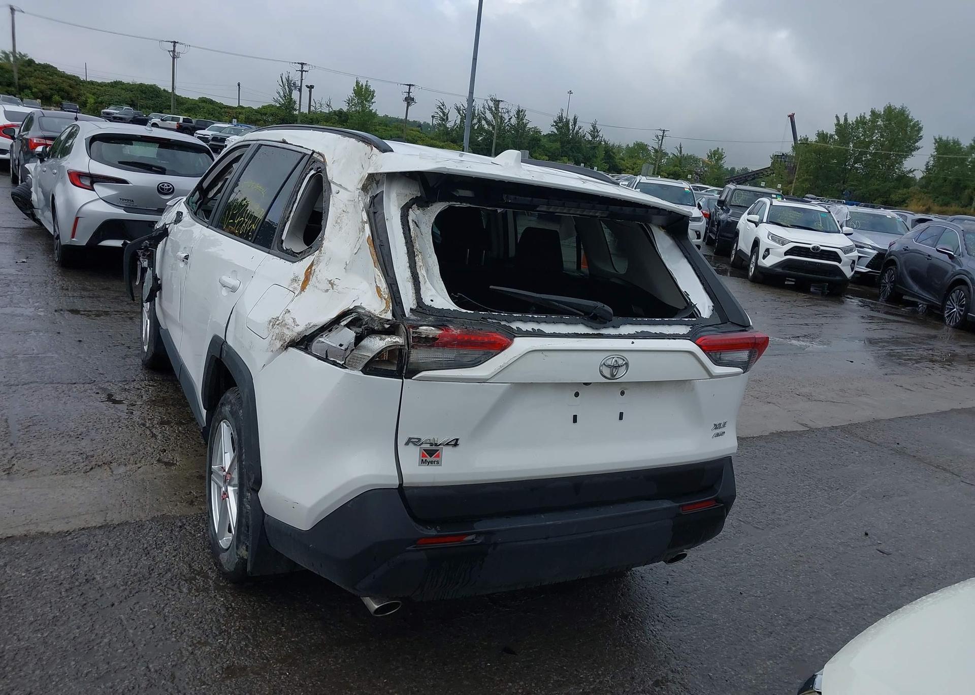 2024 TOYOTA RAV4 XLE
