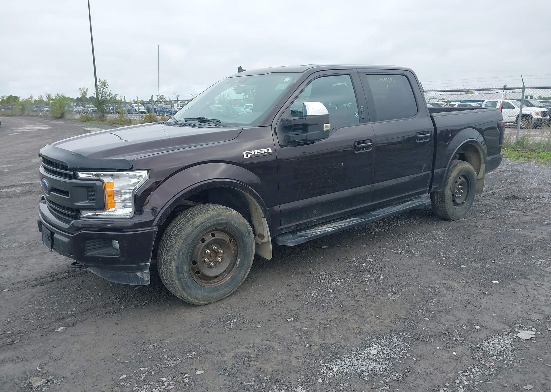 2019 FORD F-150 XLT