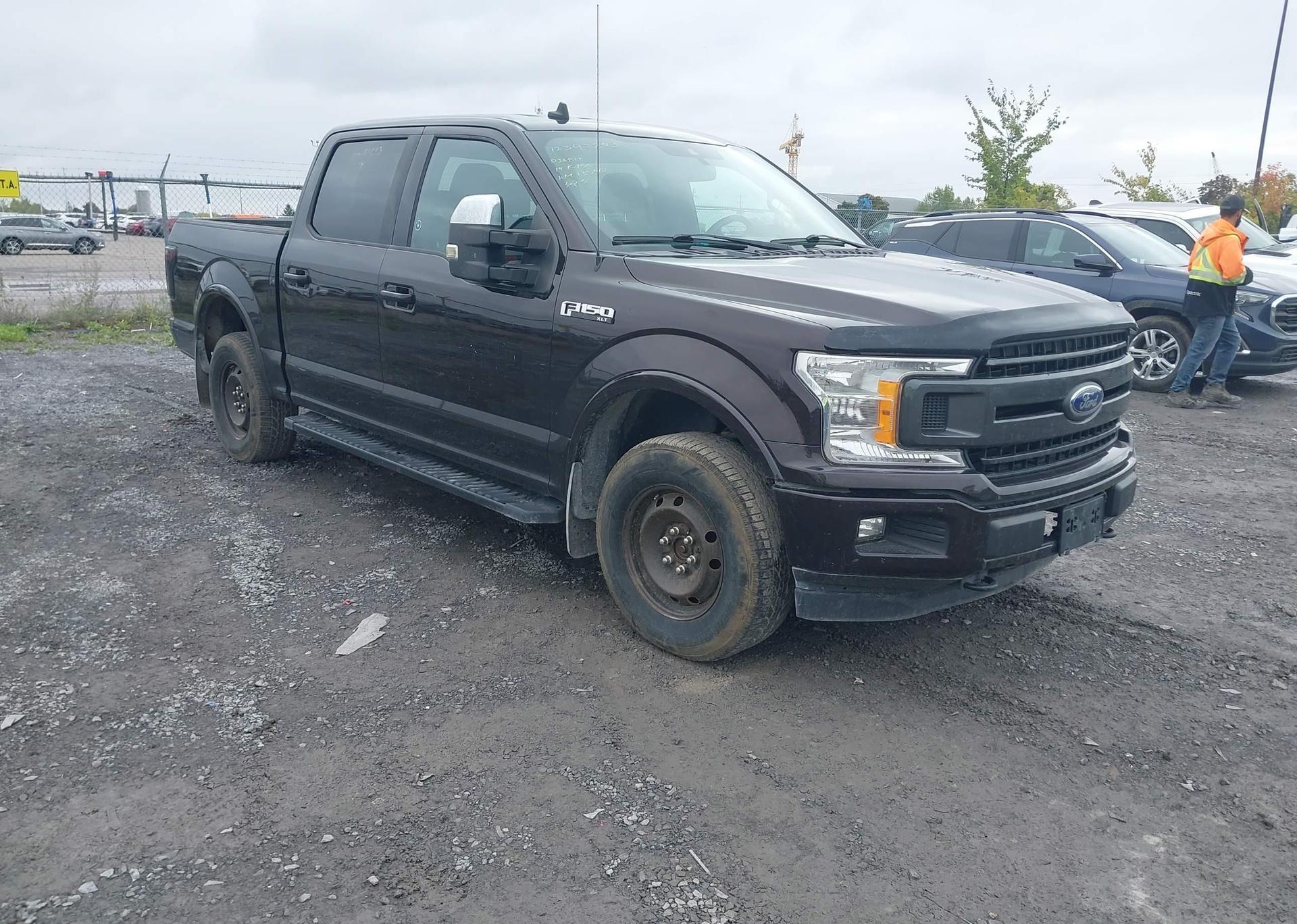 2019 FORD F-150 XLT