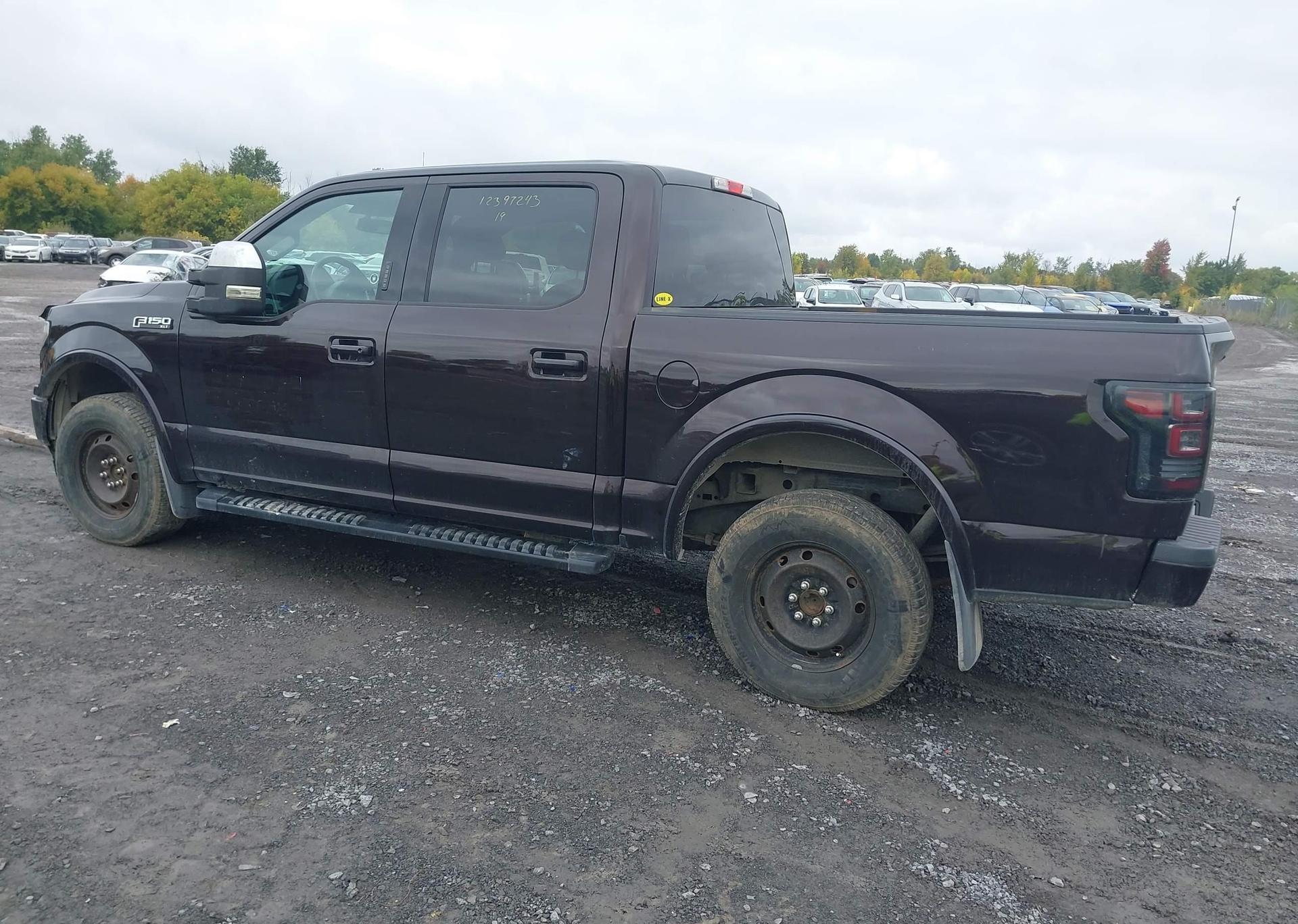 2019 FORD F-150 XLT