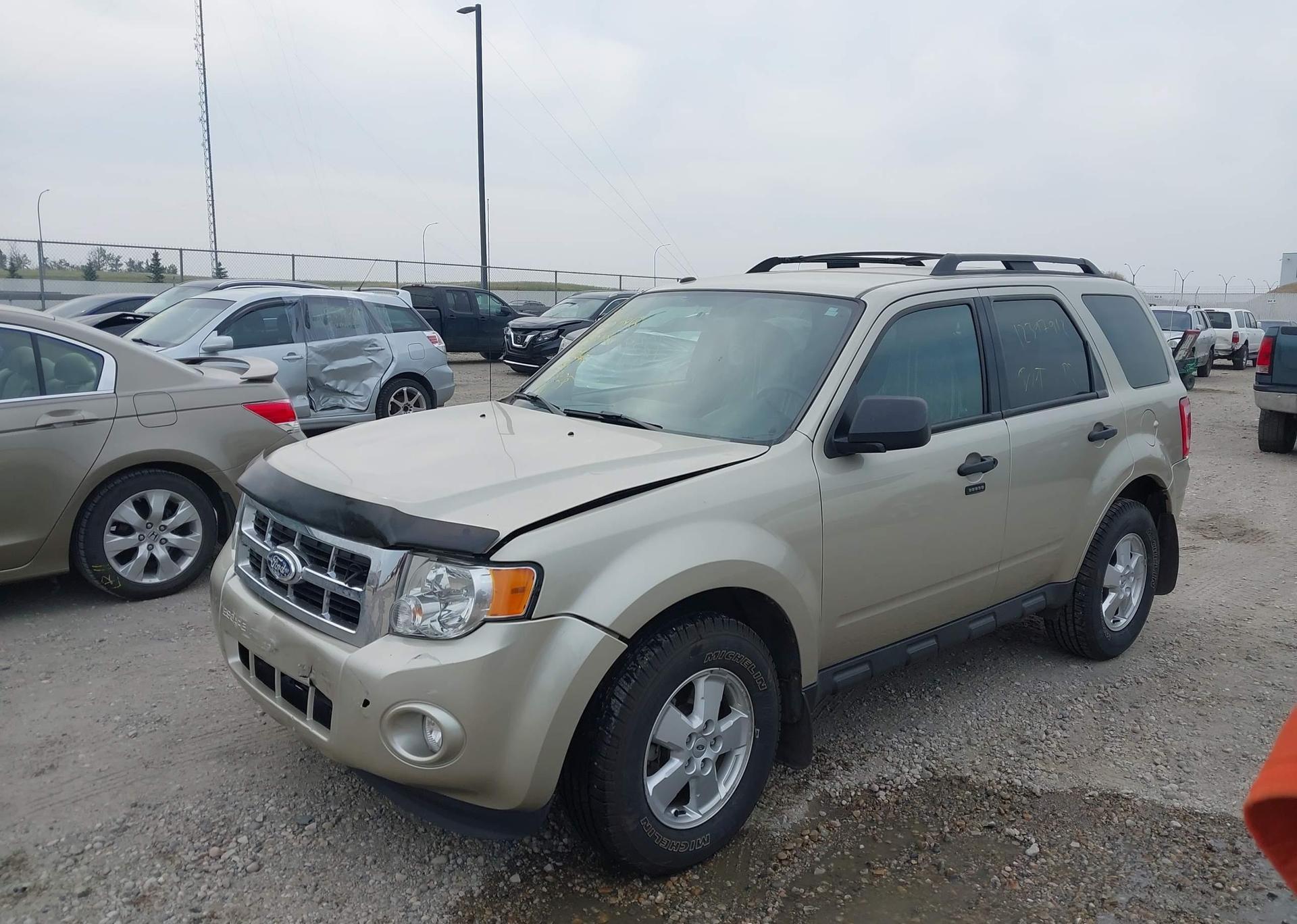 2011 FORD ESCAPE XLT