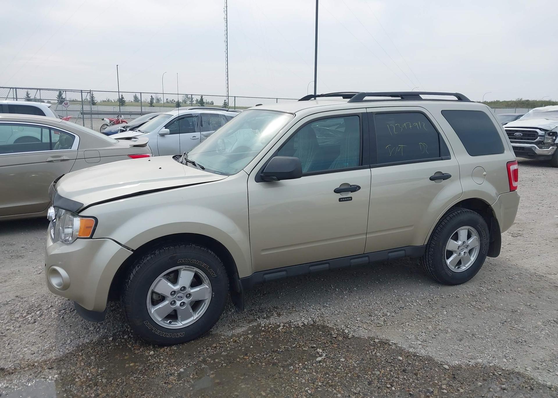 2011 FORD ESCAPE XLT