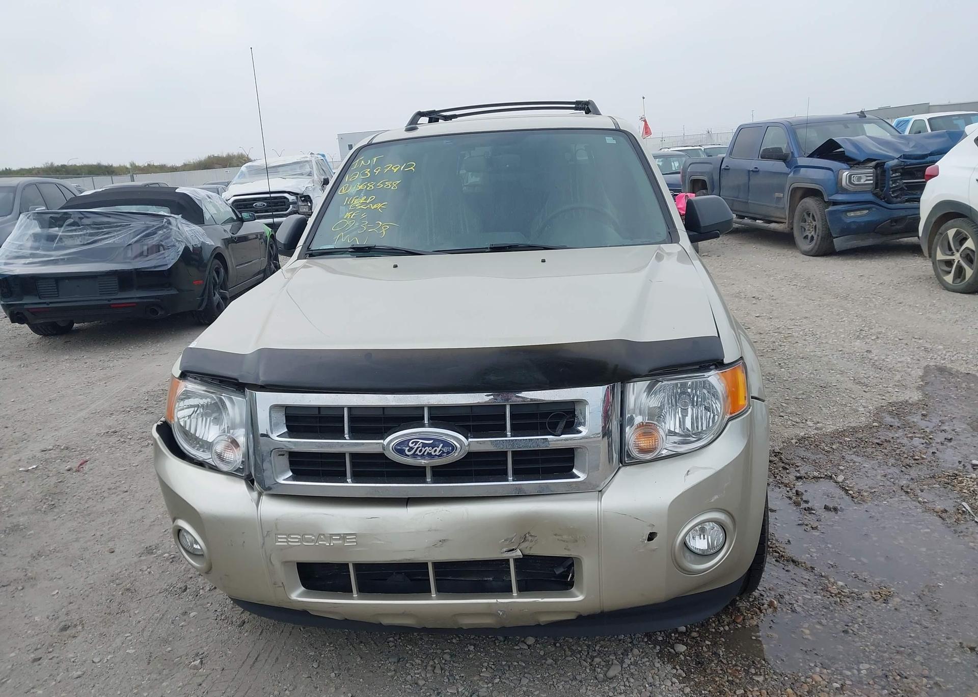 2011 FORD ESCAPE XLT