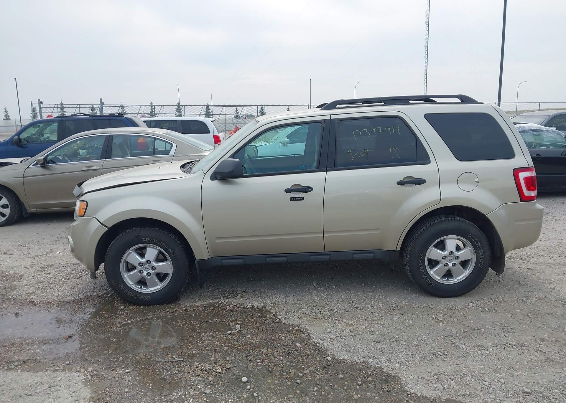 2011 FORD ESCAPE XLT