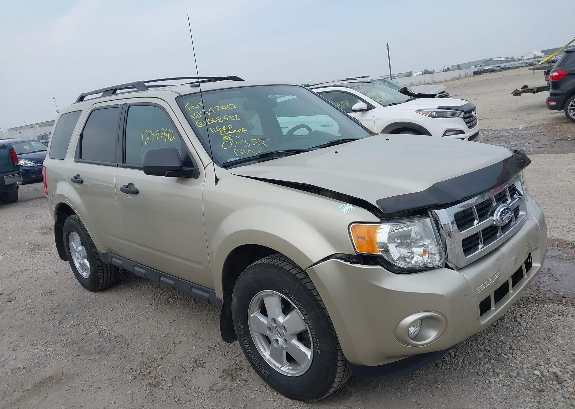 2011 FORD ESCAPE XLT