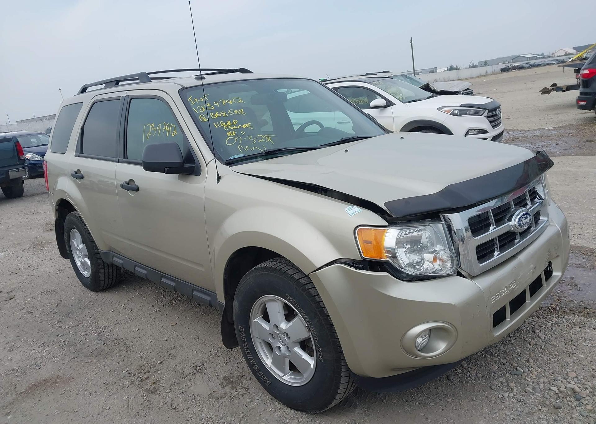 2011 FORD ESCAPE XLT