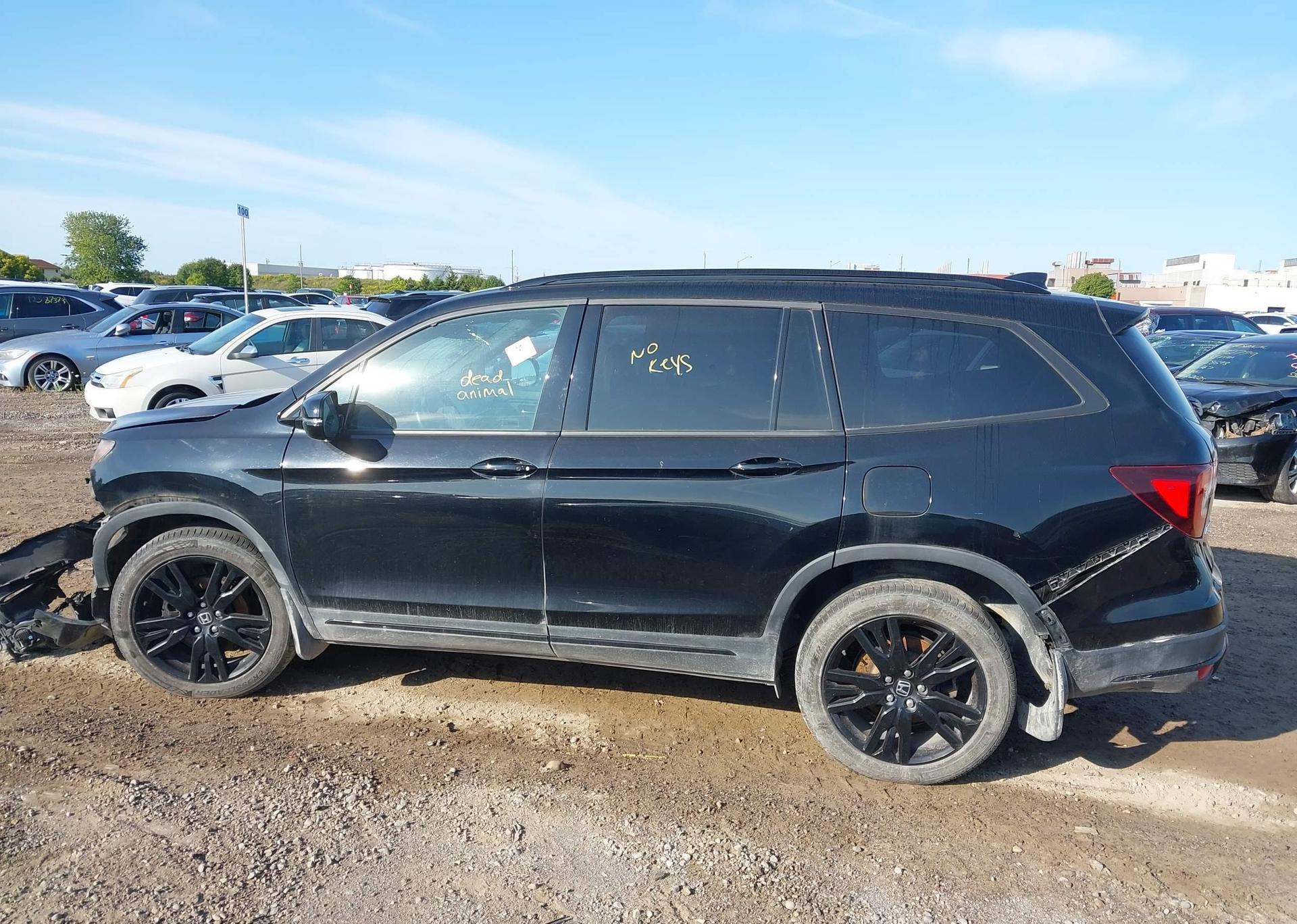 2019 HONDA PILOT BLACK EDITION