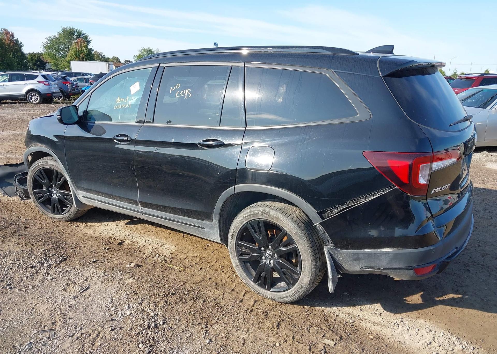 2019 HONDA PILOT BLACK EDITION