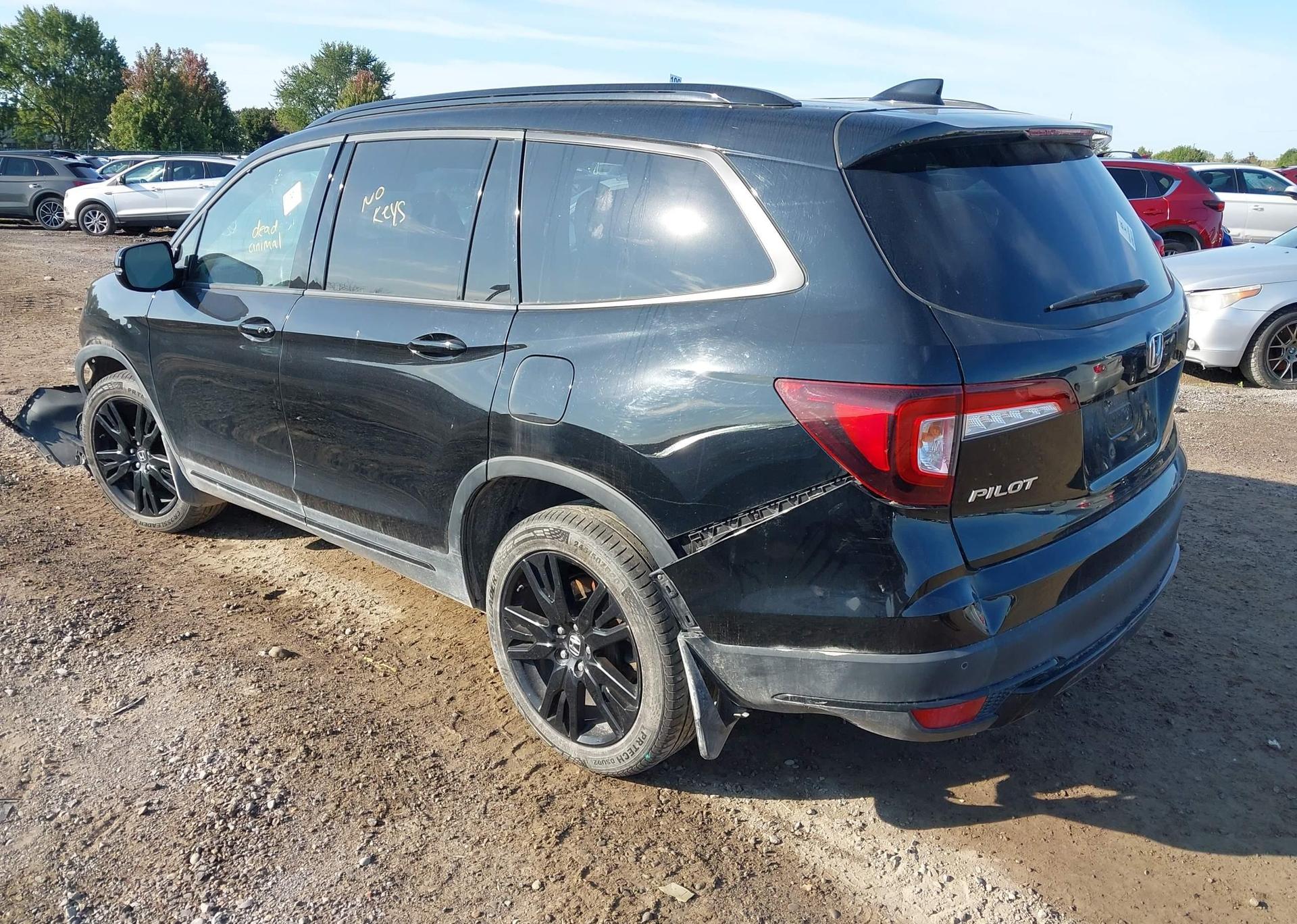 2019 HONDA PILOT BLACK EDITION
