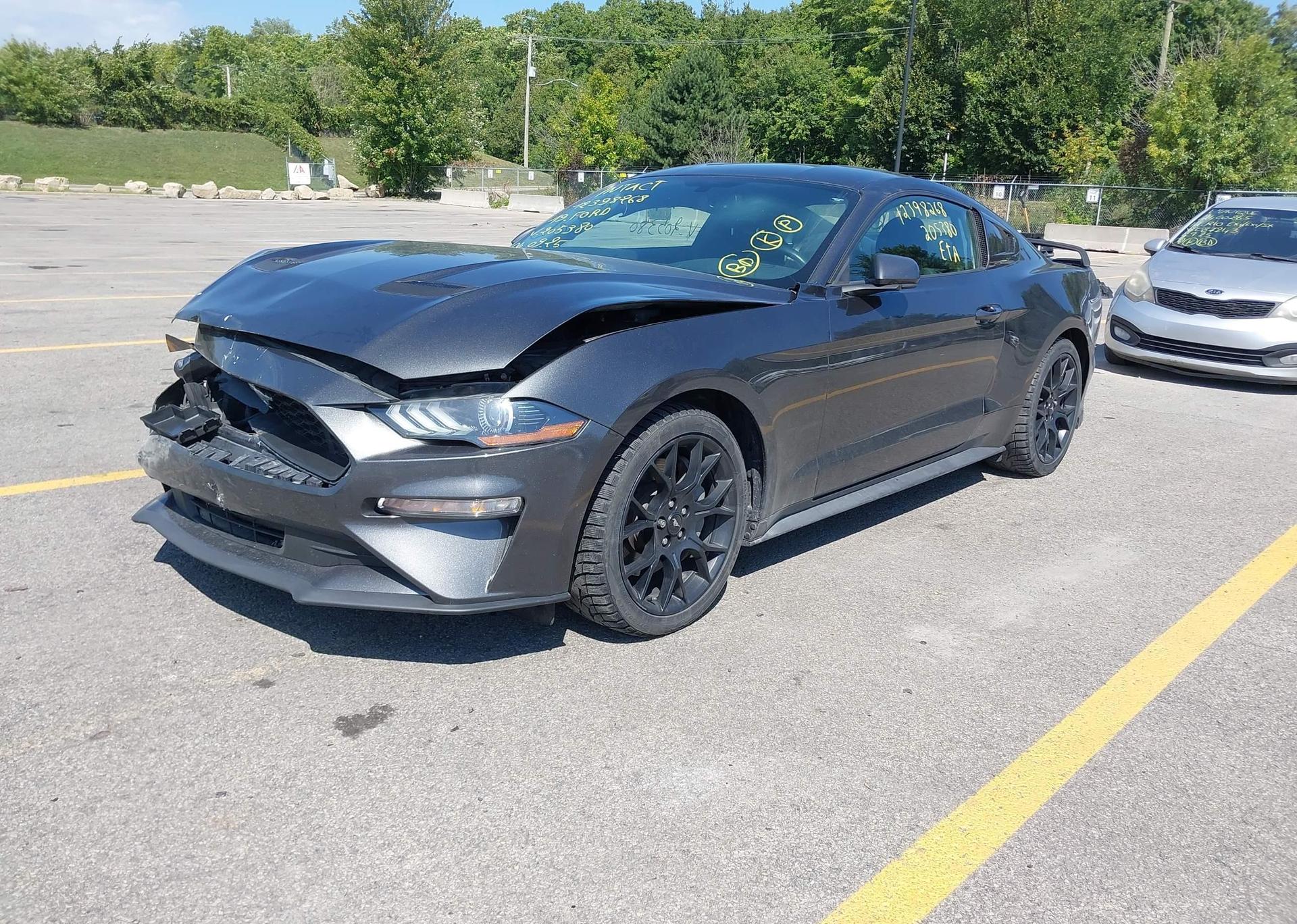 2019 FORD MUSTANG