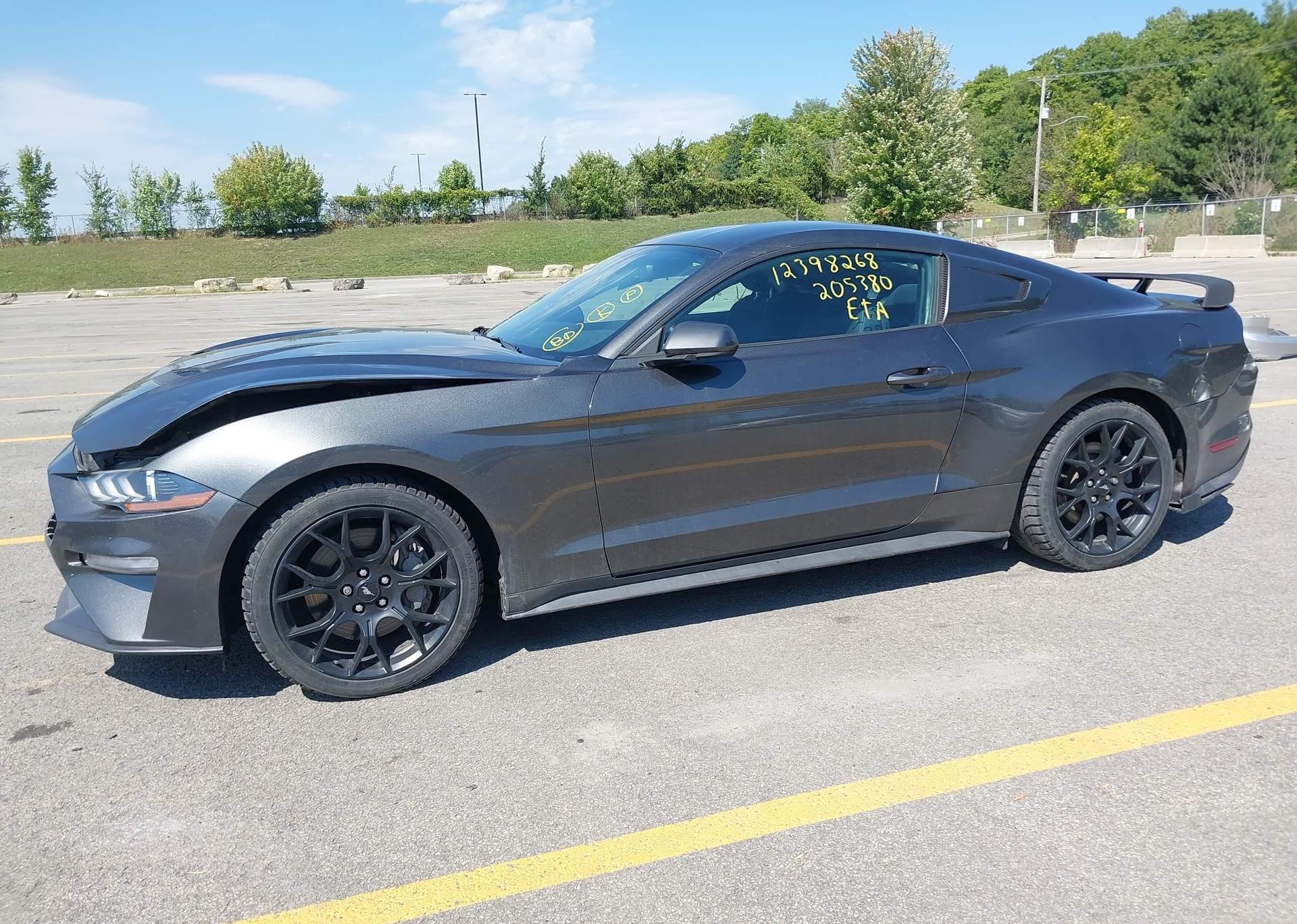 2019 FORD MUSTANG