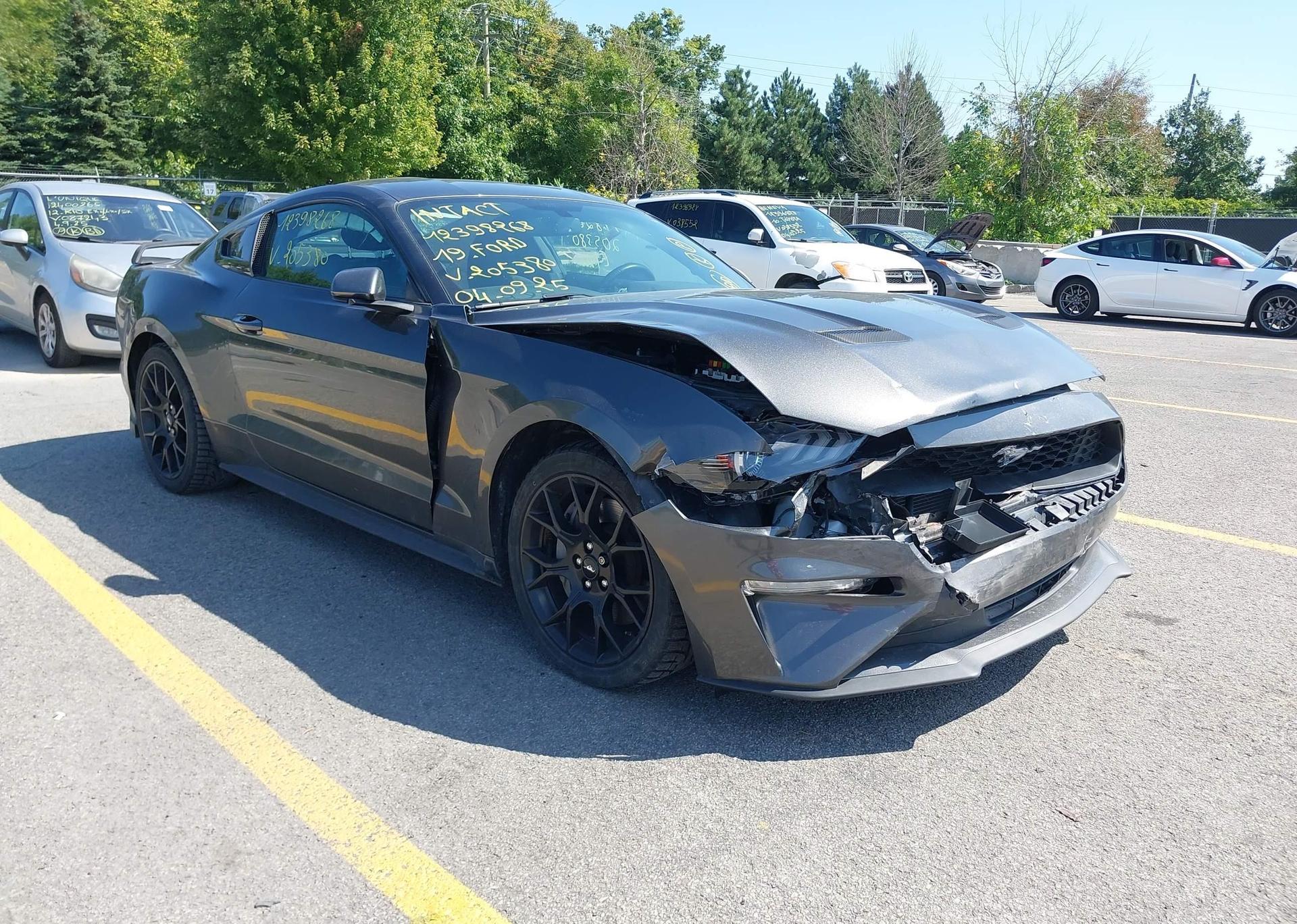 2019 FORD MUSTANG