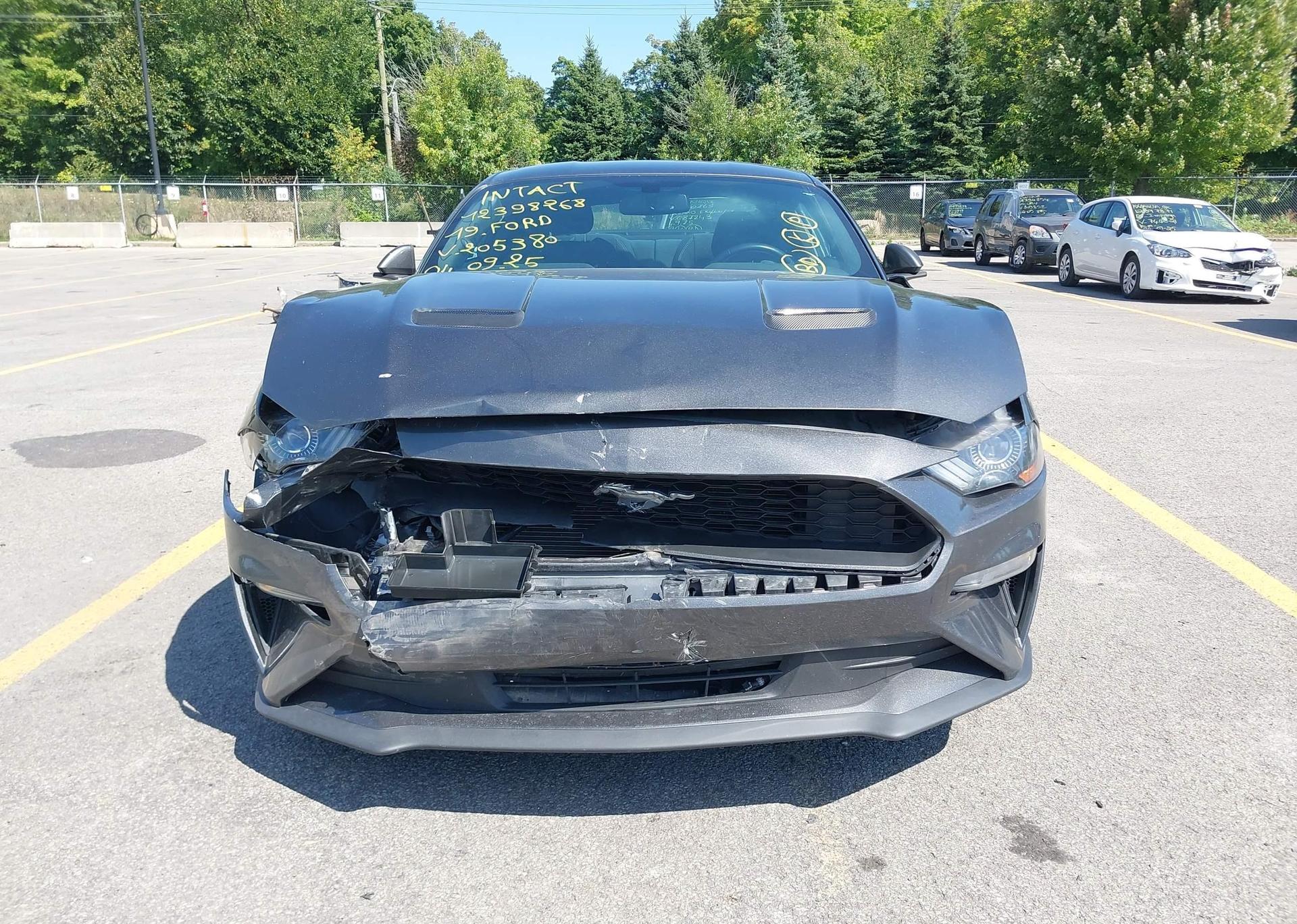 2019 FORD MUSTANG