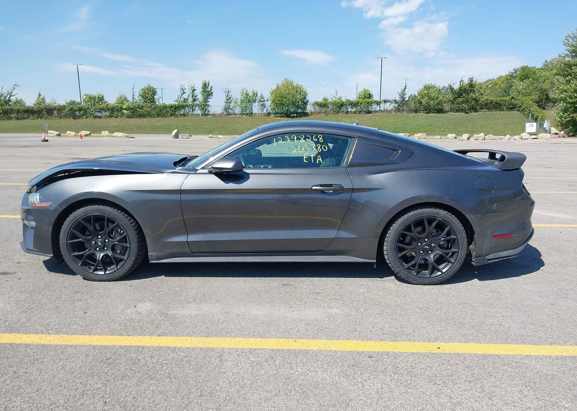2019 FORD MUSTANG