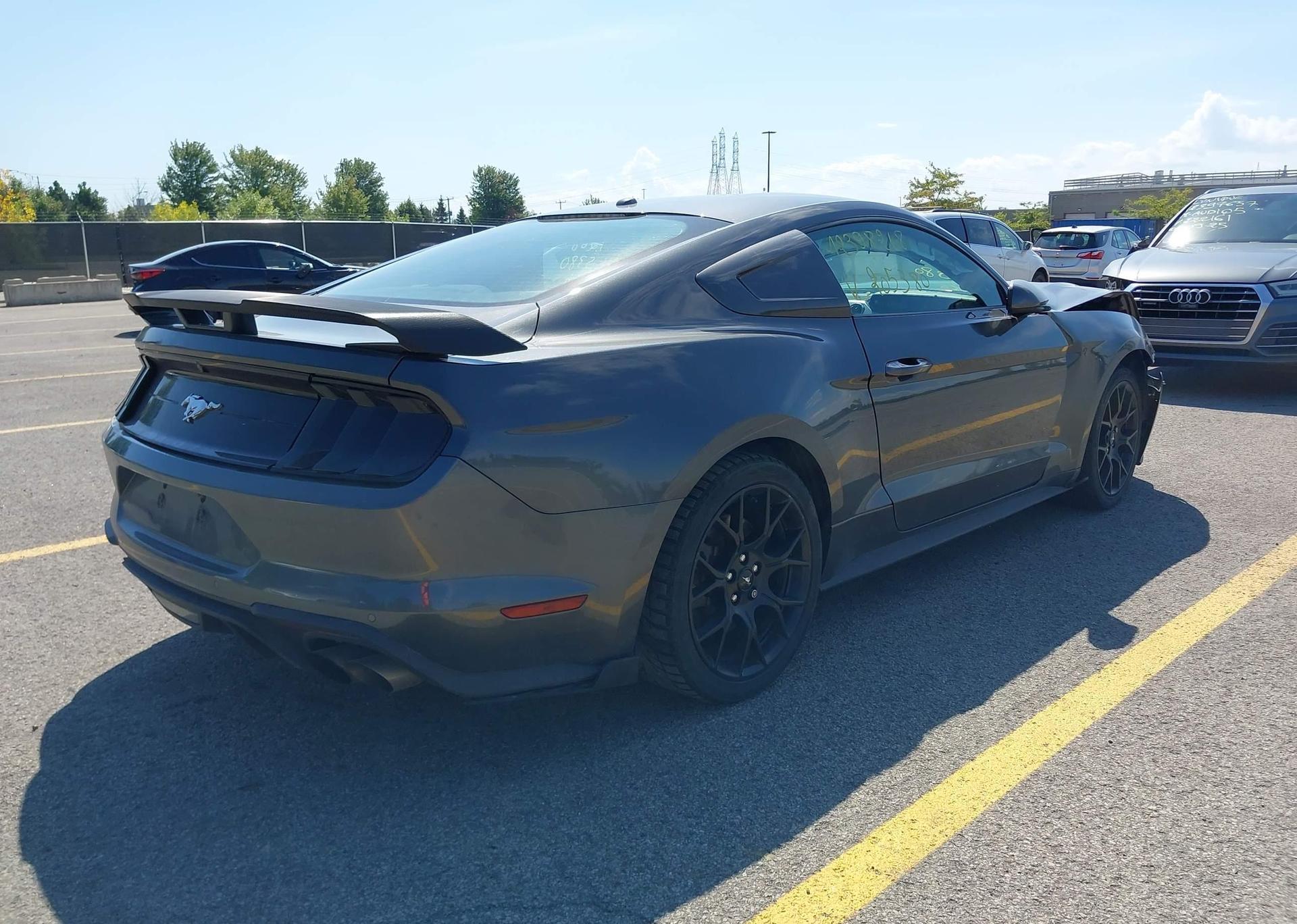 2019 FORD MUSTANG