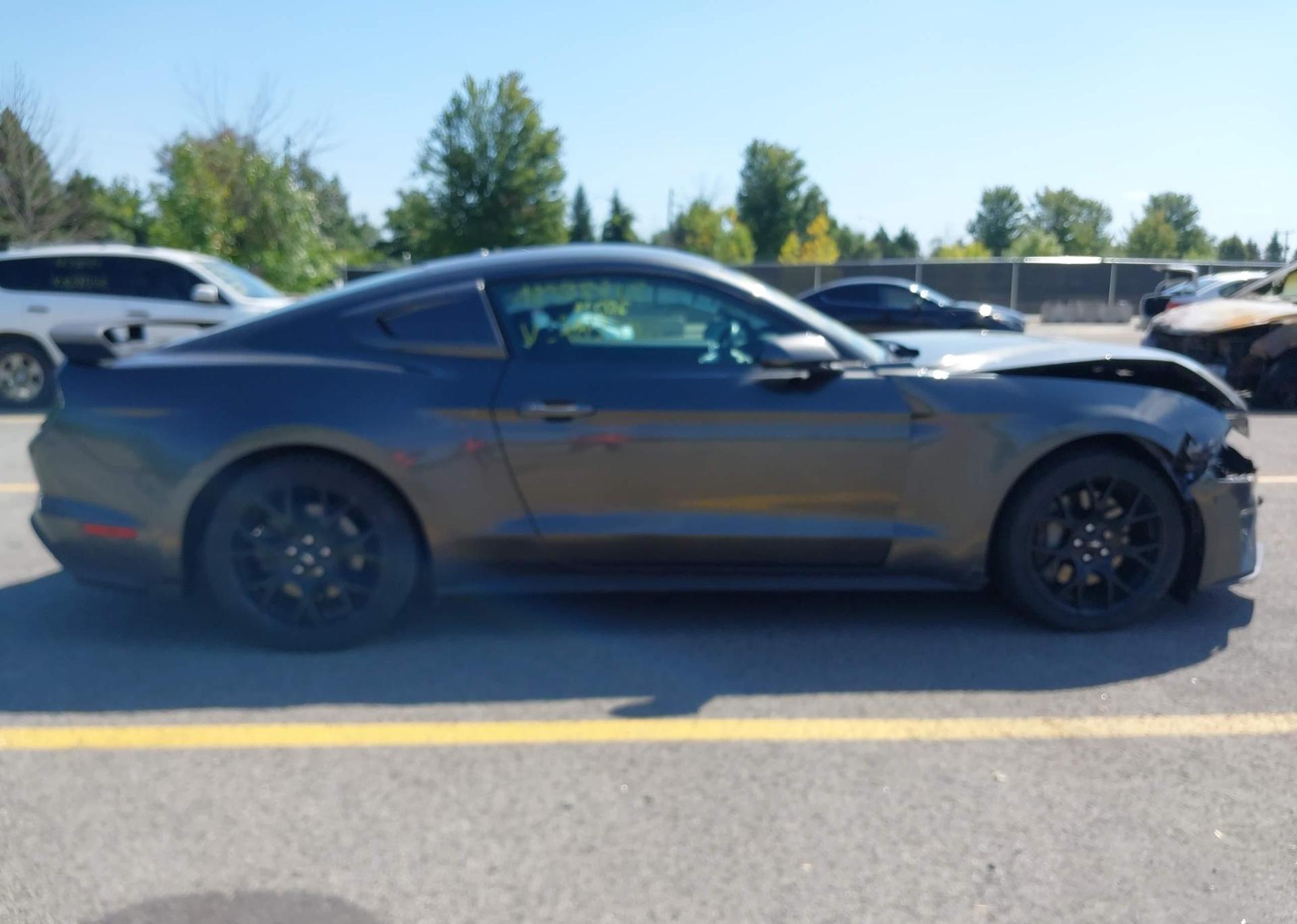 2019 FORD MUSTANG