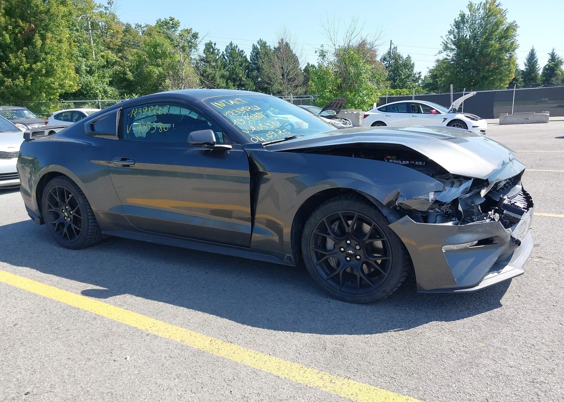2019 FORD MUSTANG