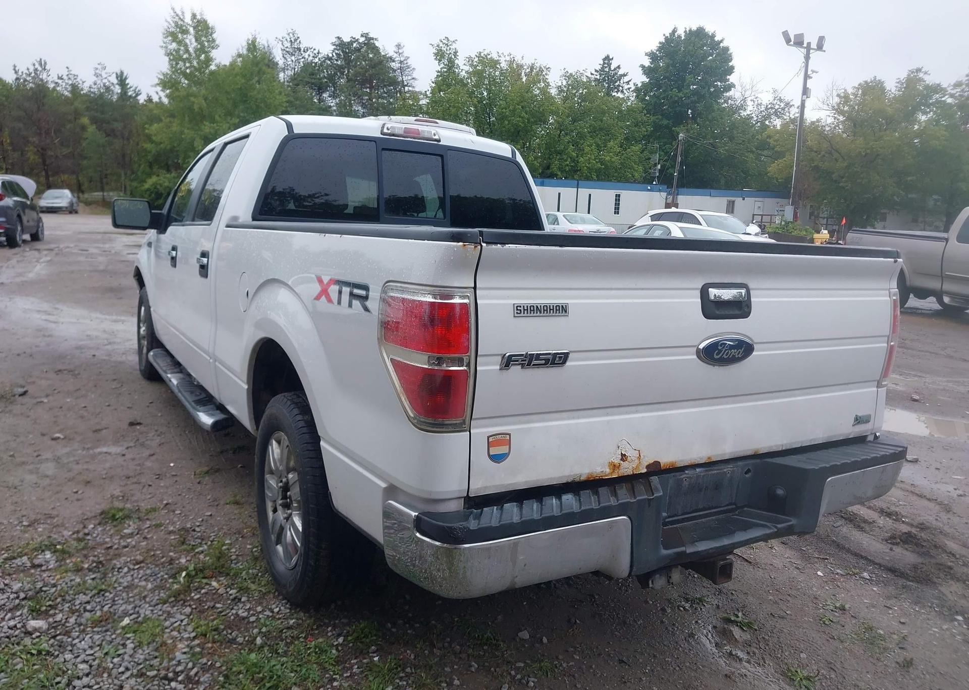 2010 FORD F-150
