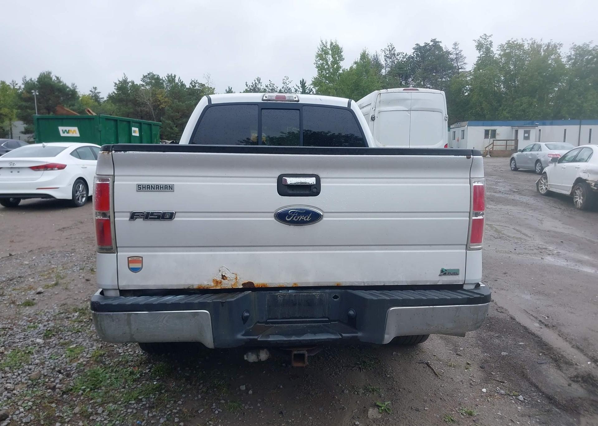 2010 FORD F-150
