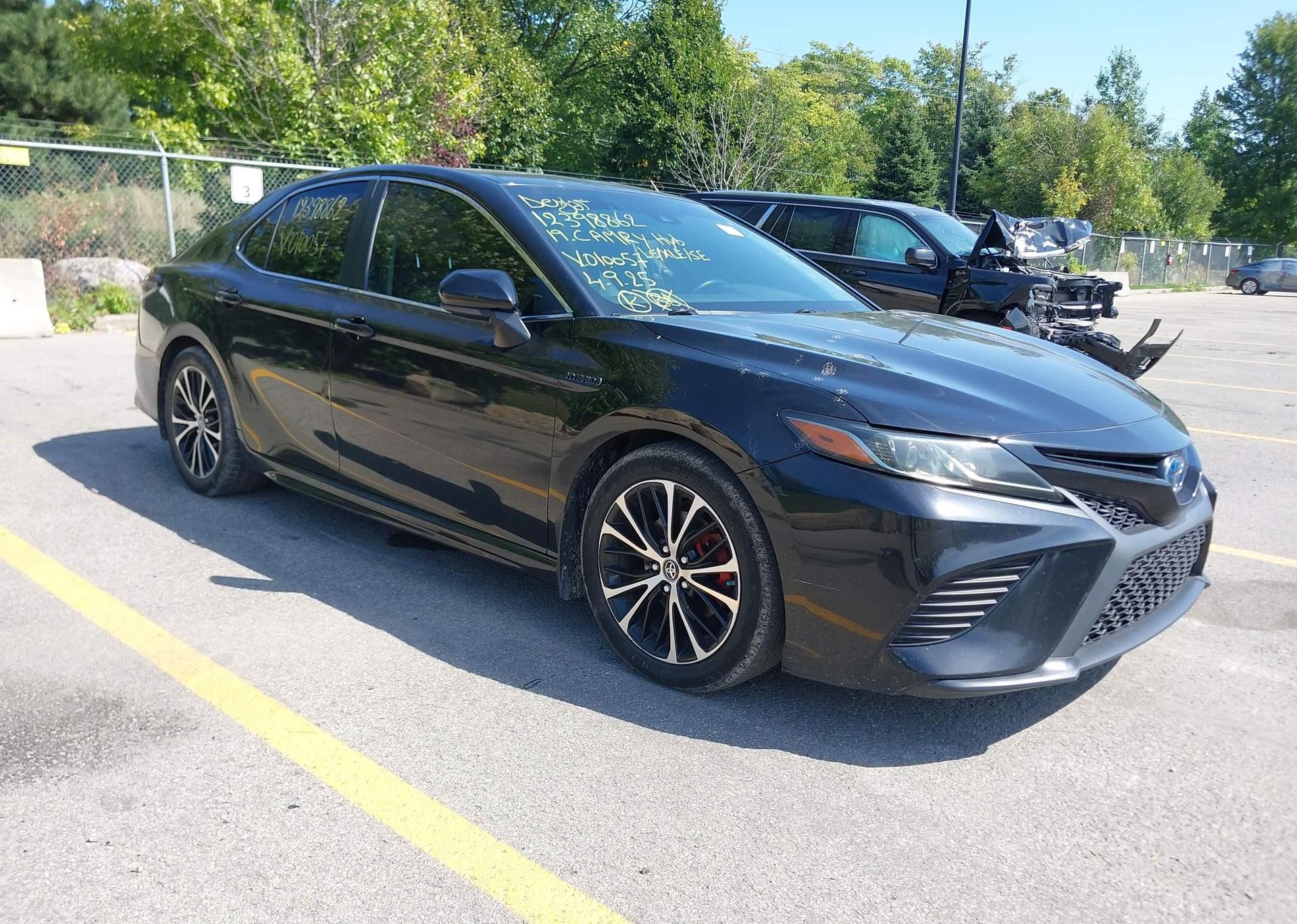 2019 TOYOTA CAMRY HYBRID