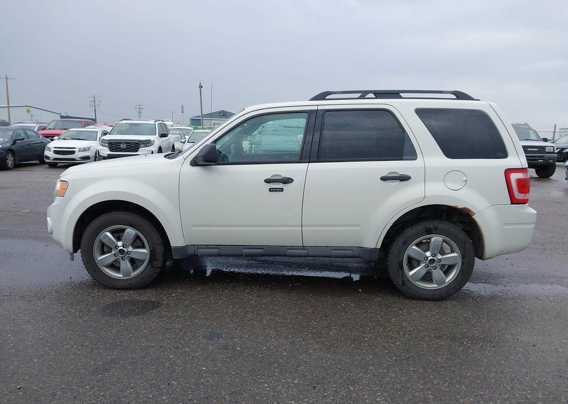 2012 FORD ESCAPE XLT