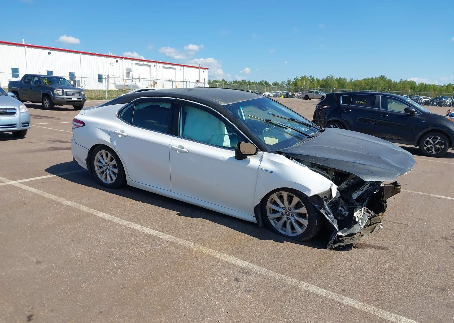 2019 TOYOTA CAMRY HYBRID LE