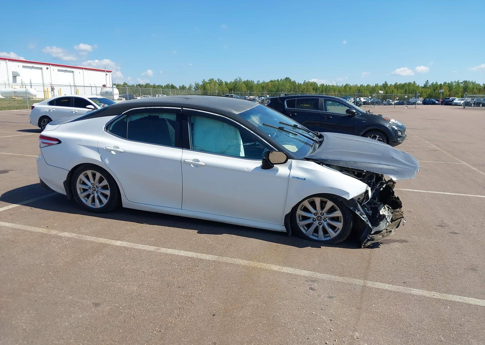 2019 TOYOTA CAMRY HYBRID LE