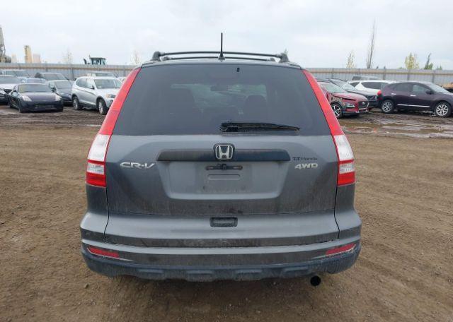 2010 HONDA CR-V LX