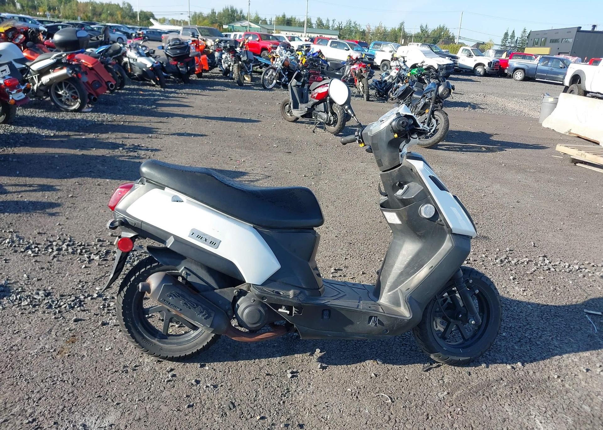 2014 SCOOTER PGO T-REX