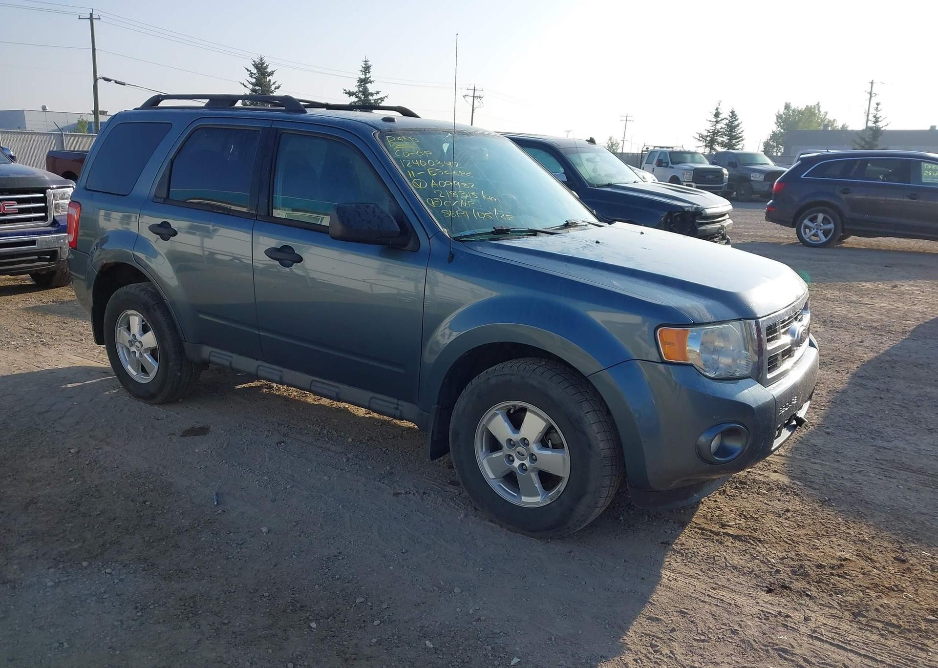 2011 FORD ESCAPE XLT