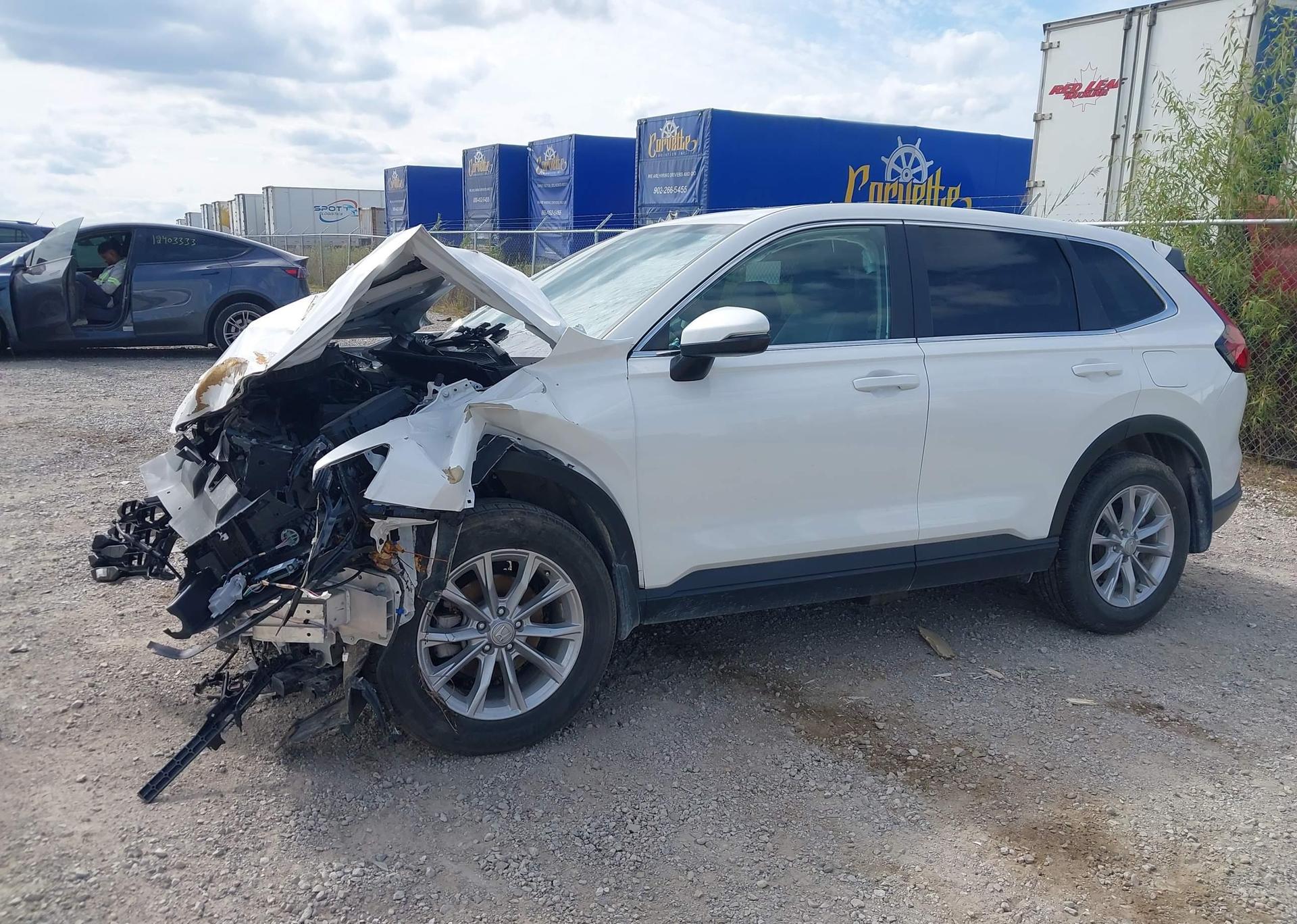 2024 HONDA CR-V EX-L
