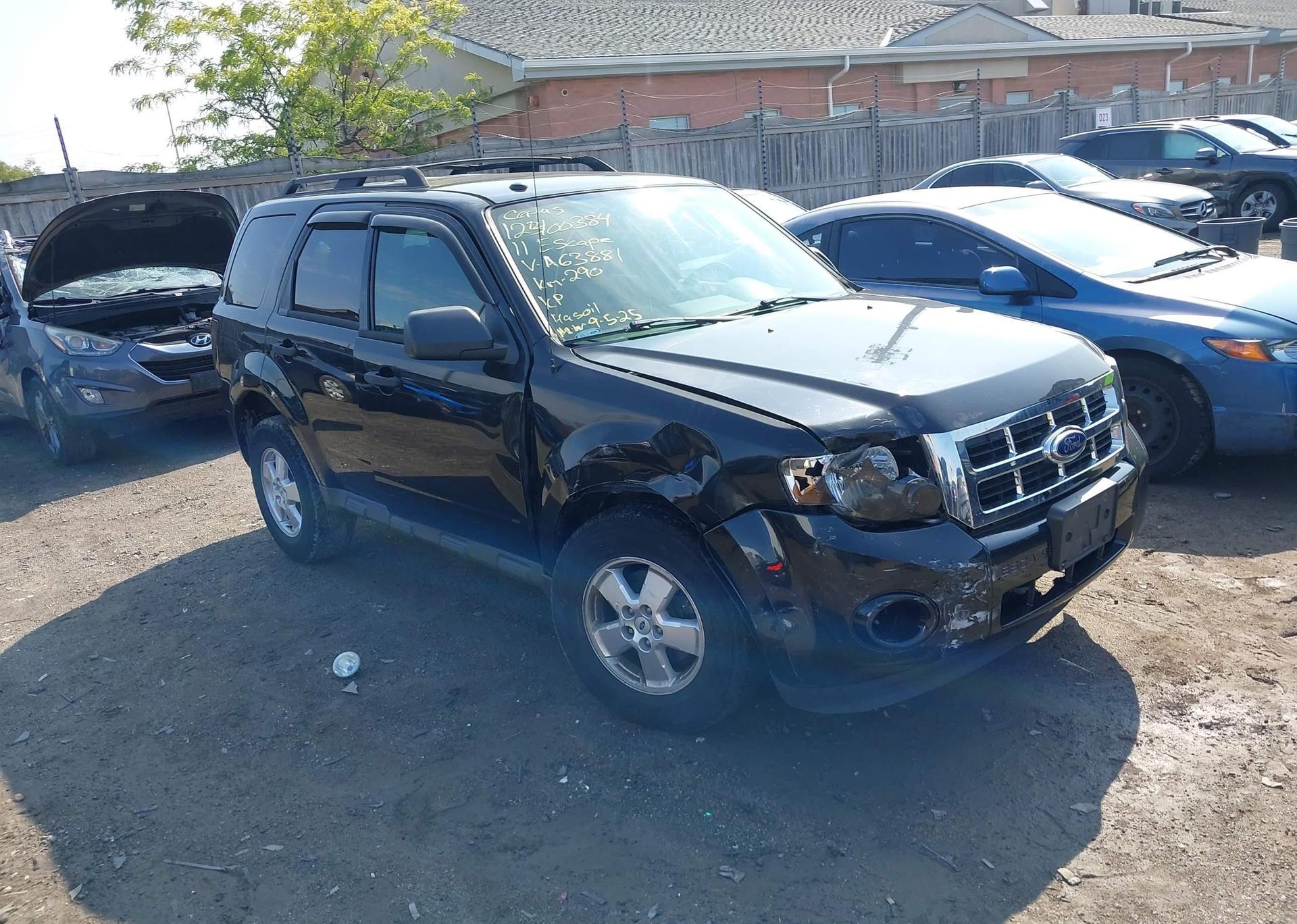 2011 FORD ESCAPE XLT