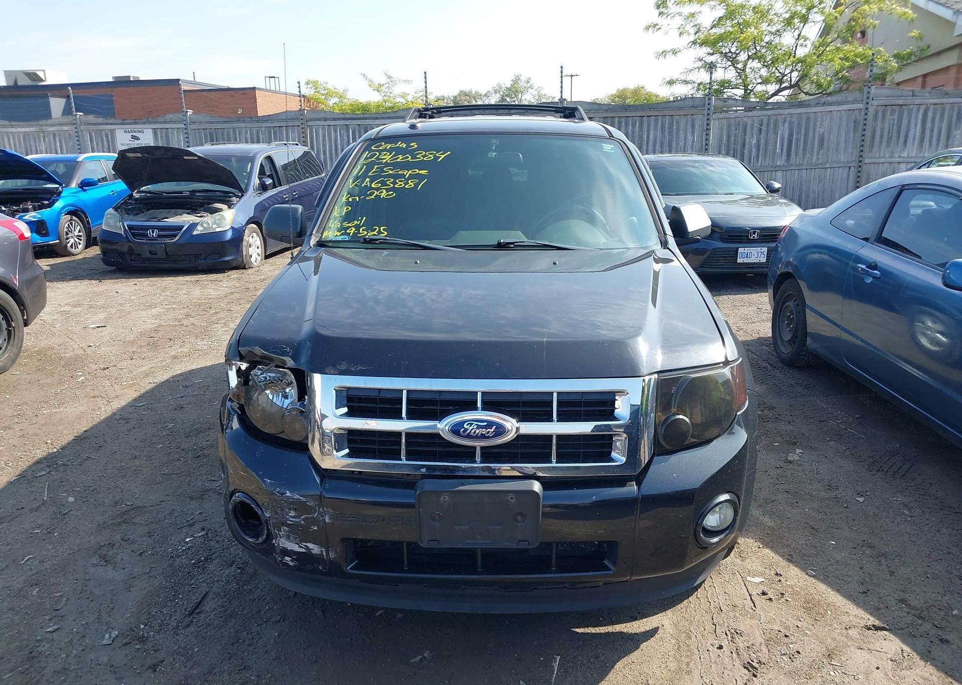 2011 FORD ESCAPE XLT