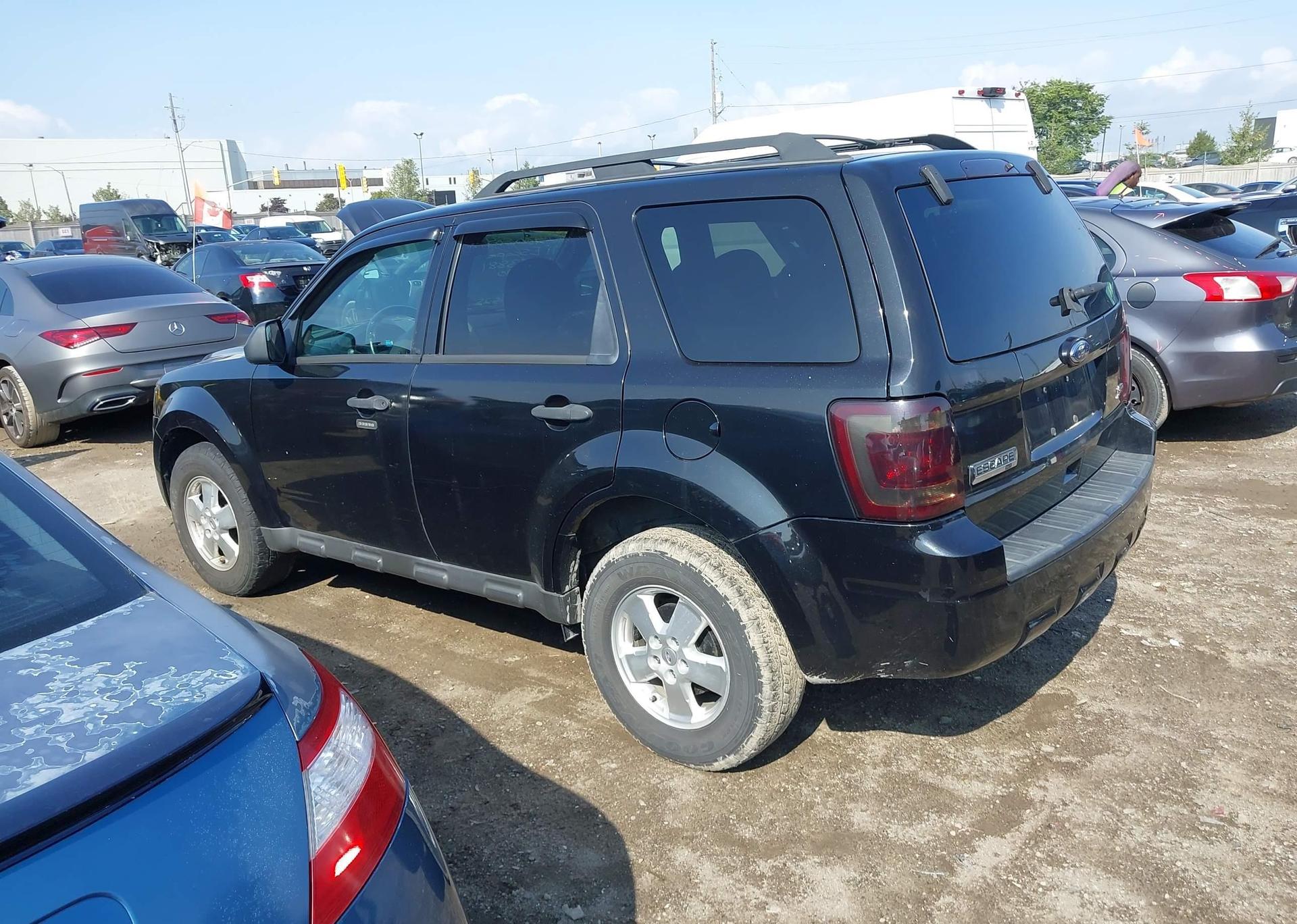 2011 FORD ESCAPE XLT