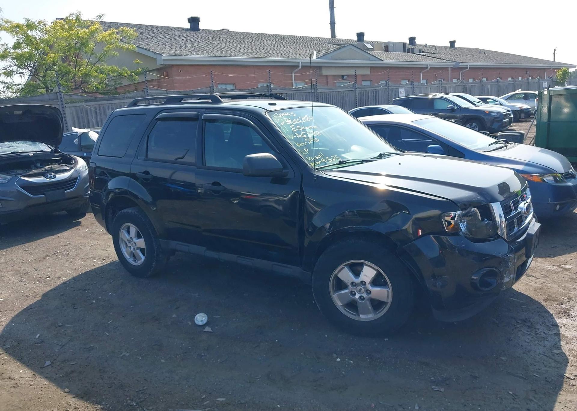 2011 FORD ESCAPE XLT