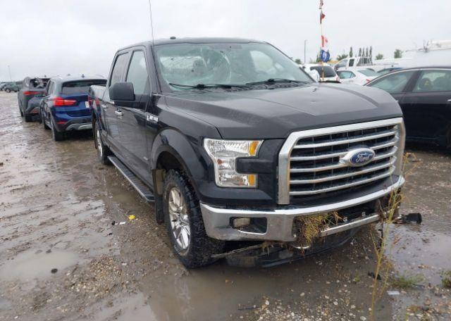 2015 FORD F-150 XLT