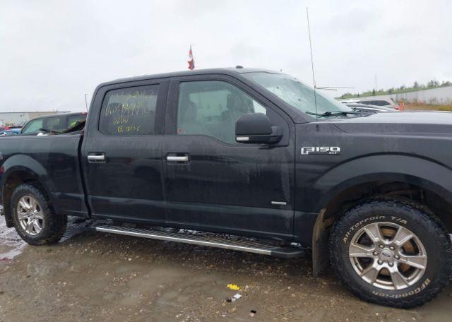 2015 FORD F-150 XLT