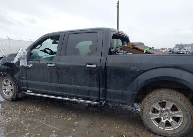 2015 FORD F-150 XLT