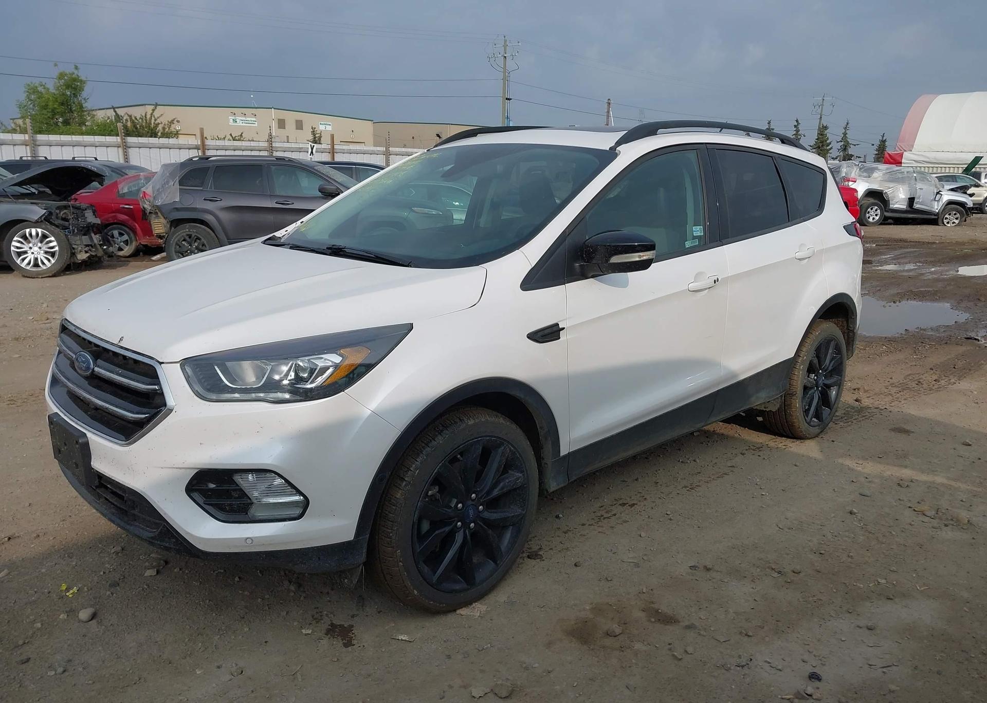 2019 FORD ESCAPE TITANIUM